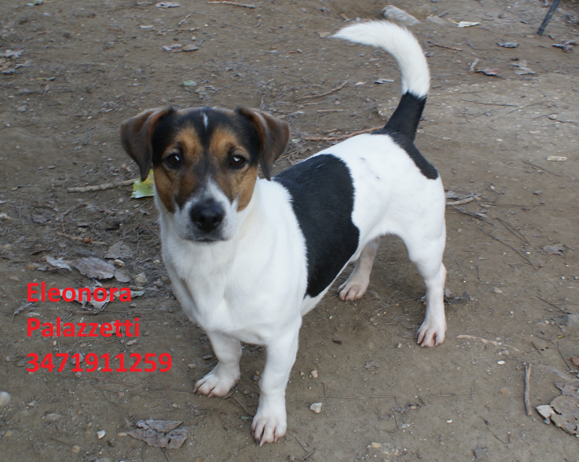 Chase 5.11.2020 n. 9