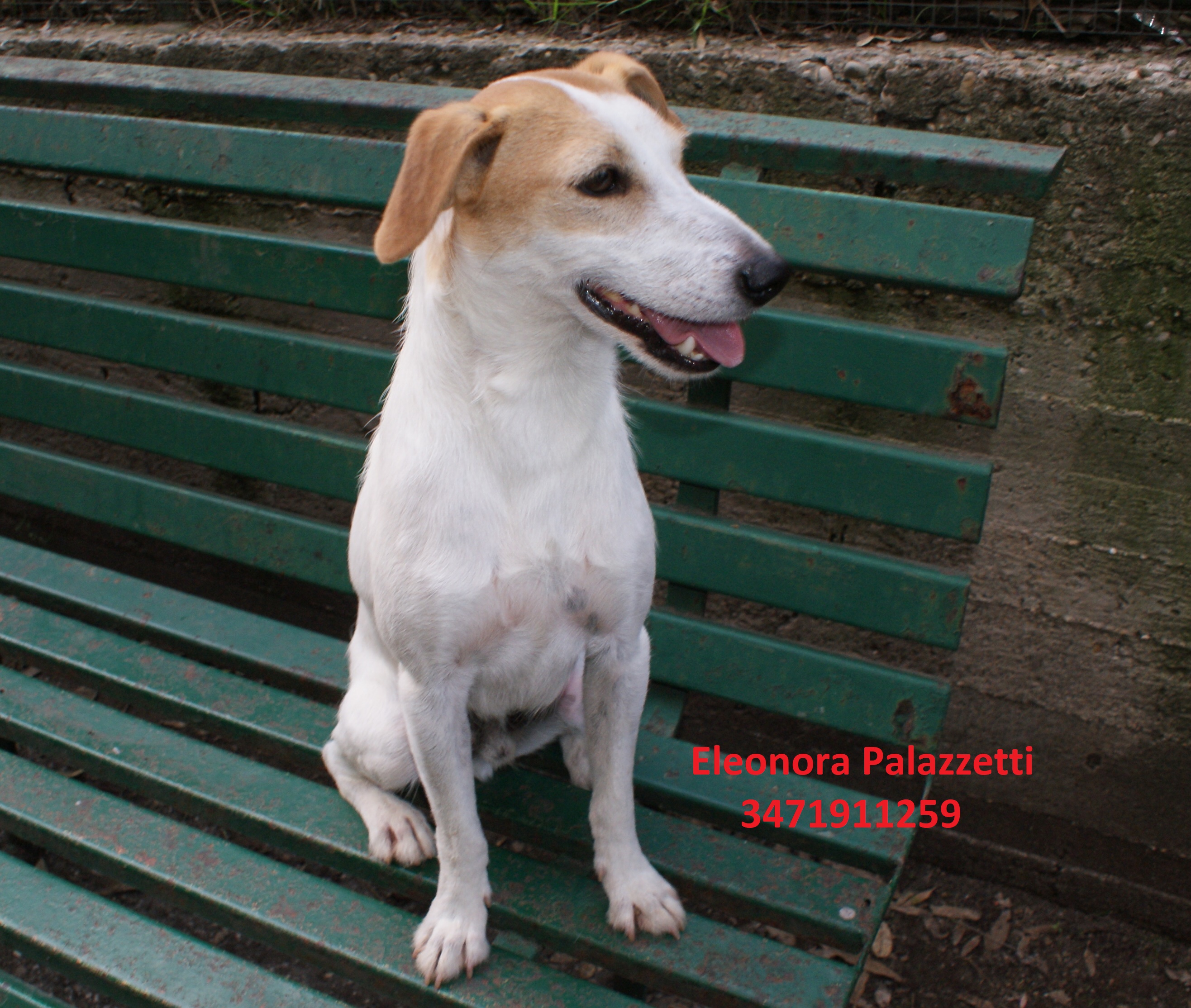 Colletto 9.10.2020 n. 6