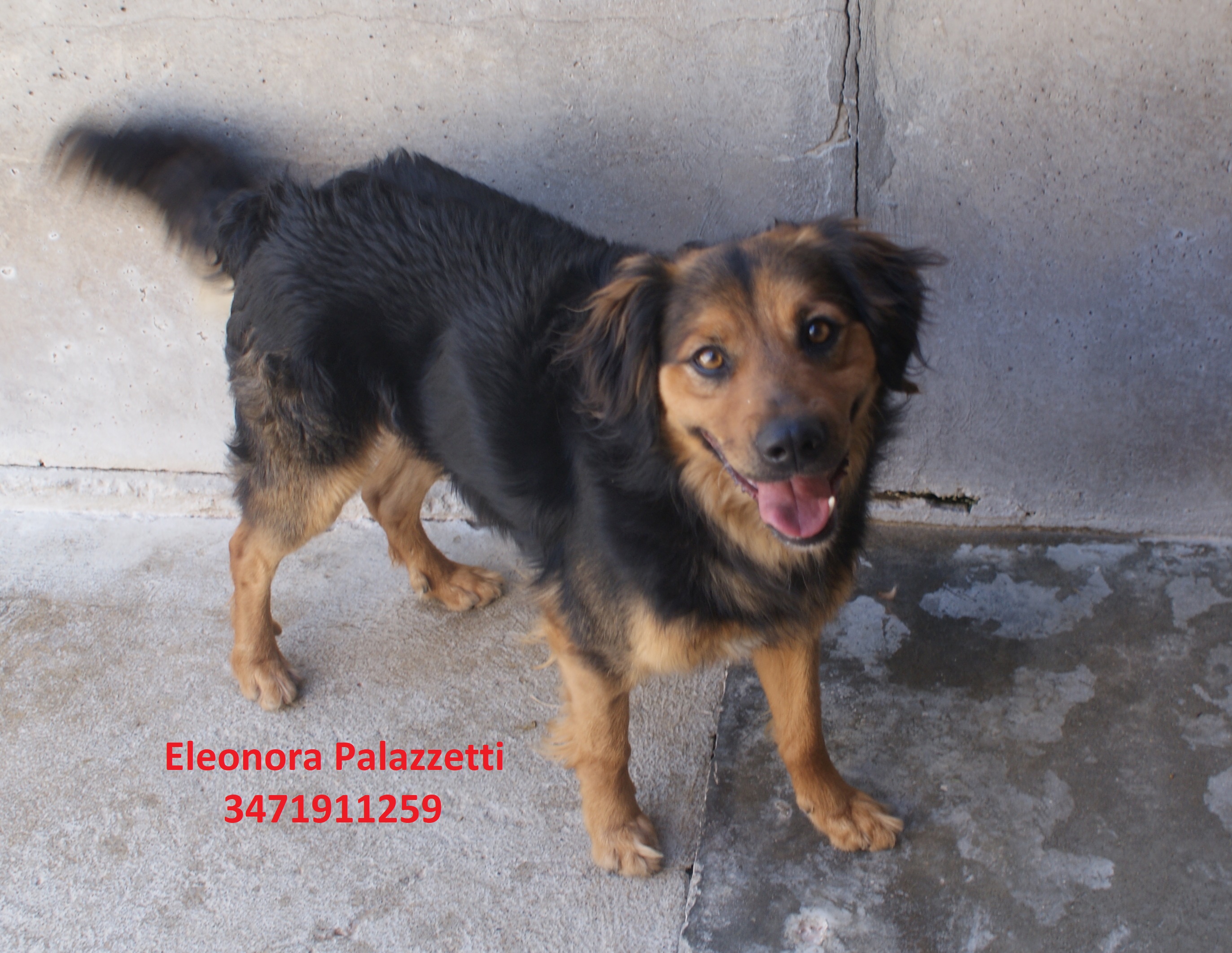 Dalì 1.6.2020 n. 3