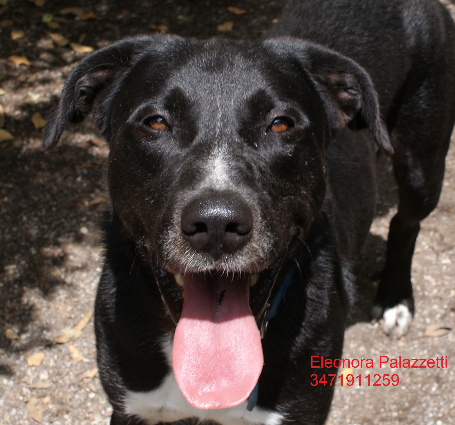 Danko 24.5.2018 n. 2