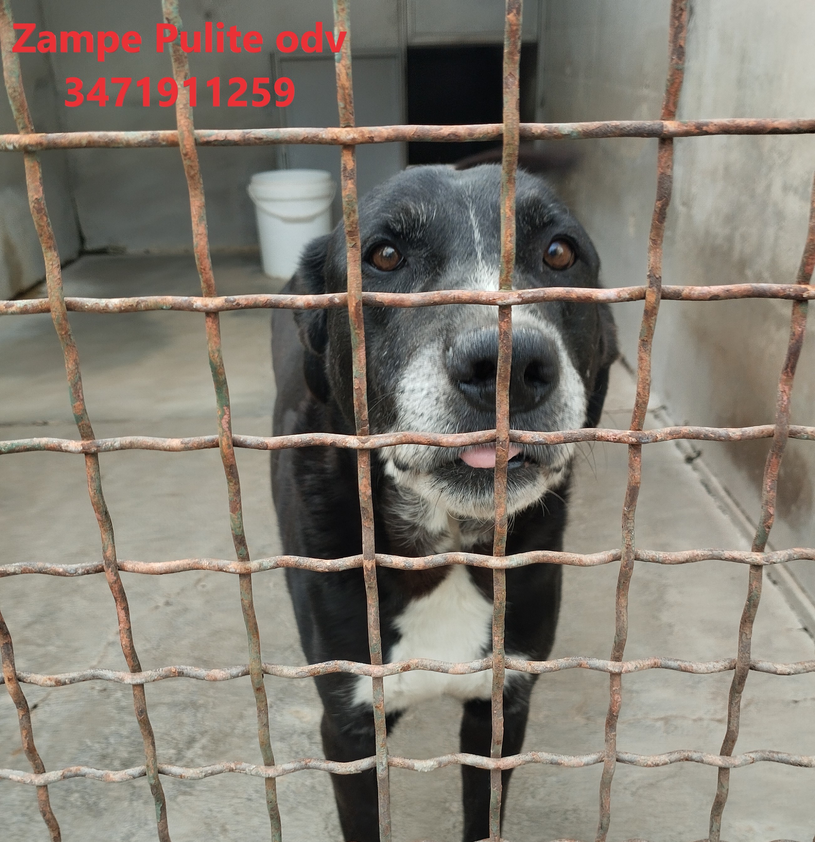 Danko 30.04.2024 n. 2
