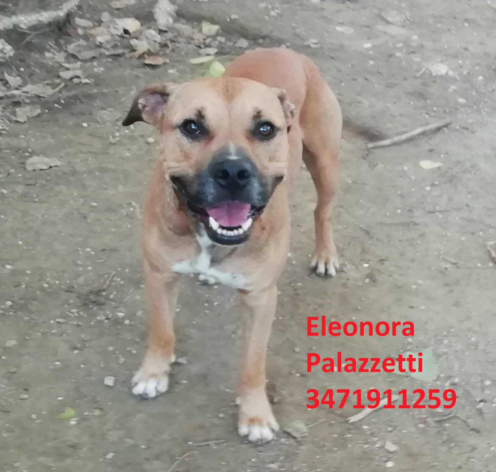 Eros pit 24.9.2020 n. 6