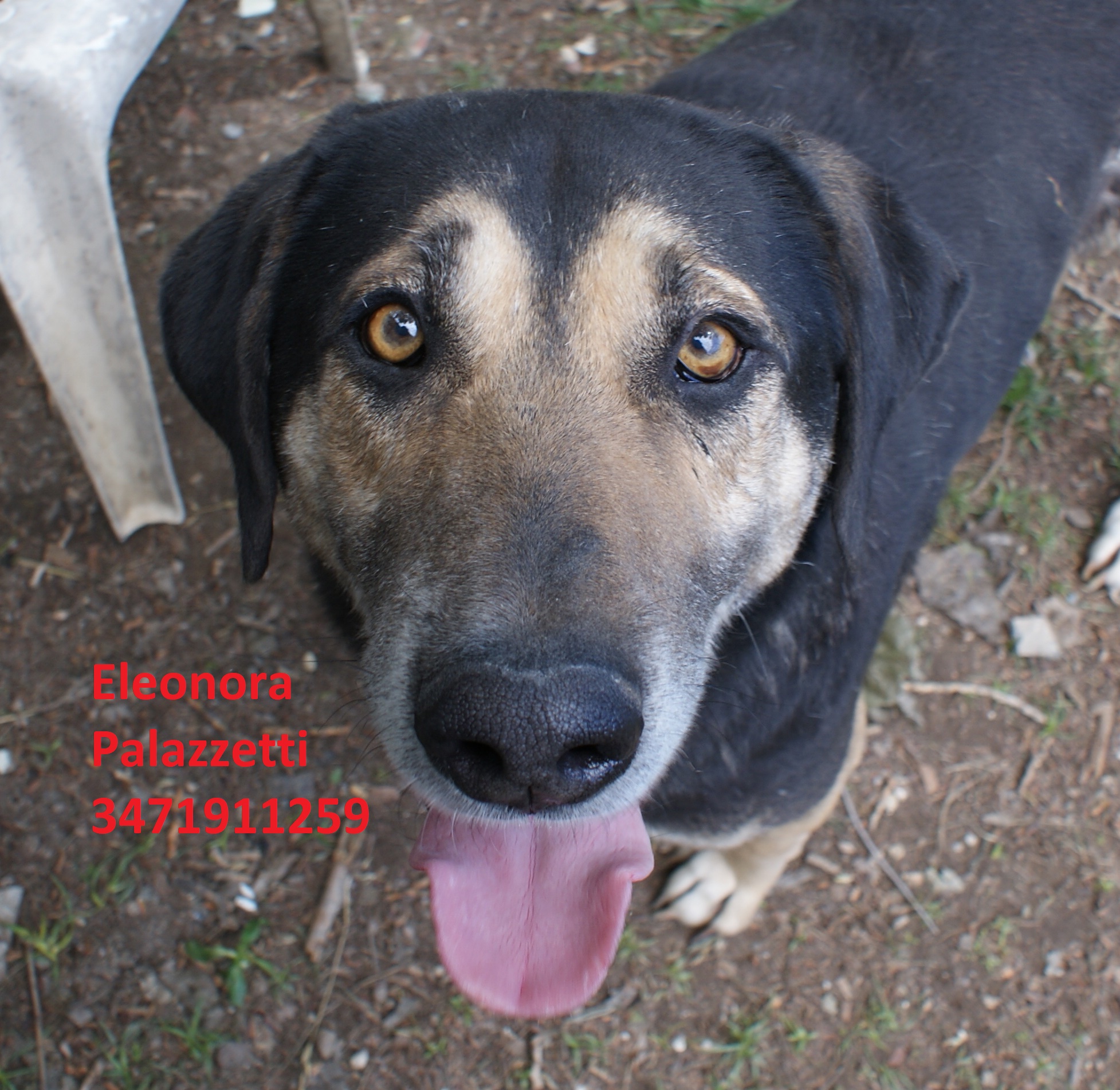 Gus 14.5.2019 n. 10