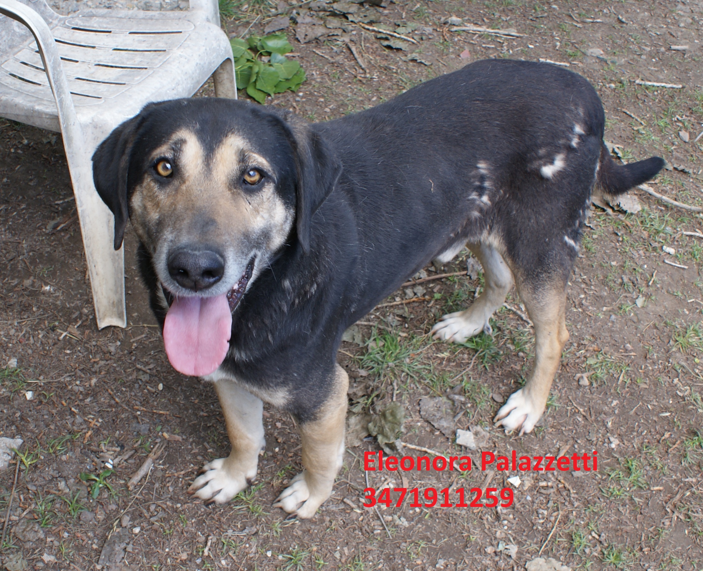 Gus 14.5.2019 n. 11