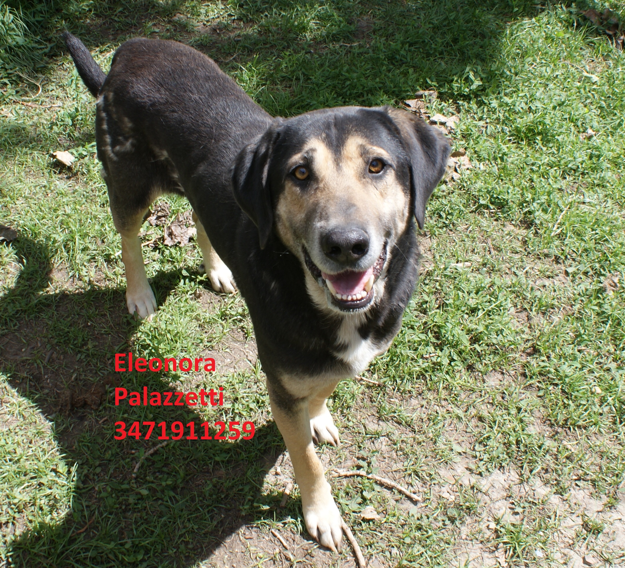 Gus 14.5.2019 n. 3