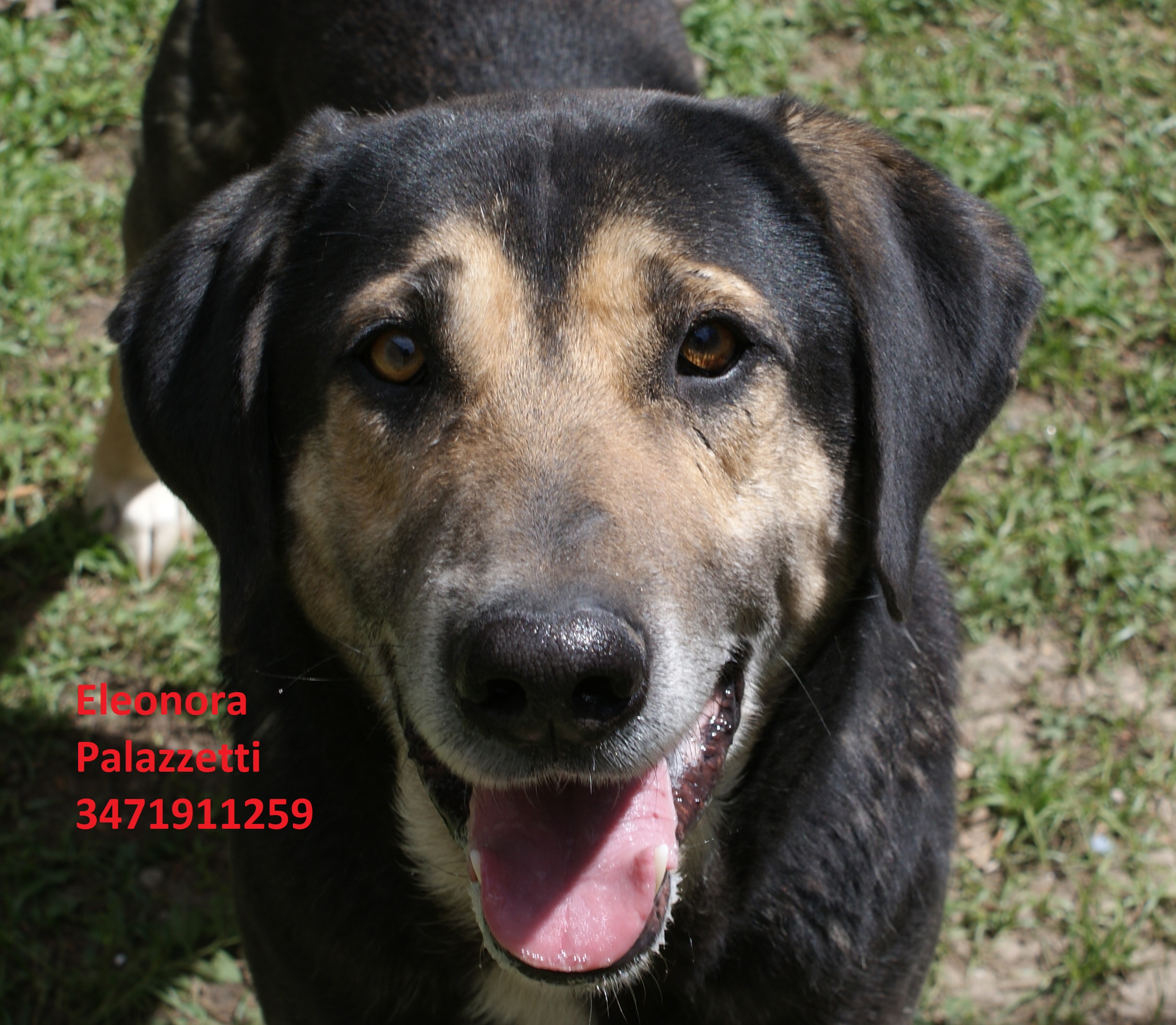 Gus 14.5.2019 n. 7