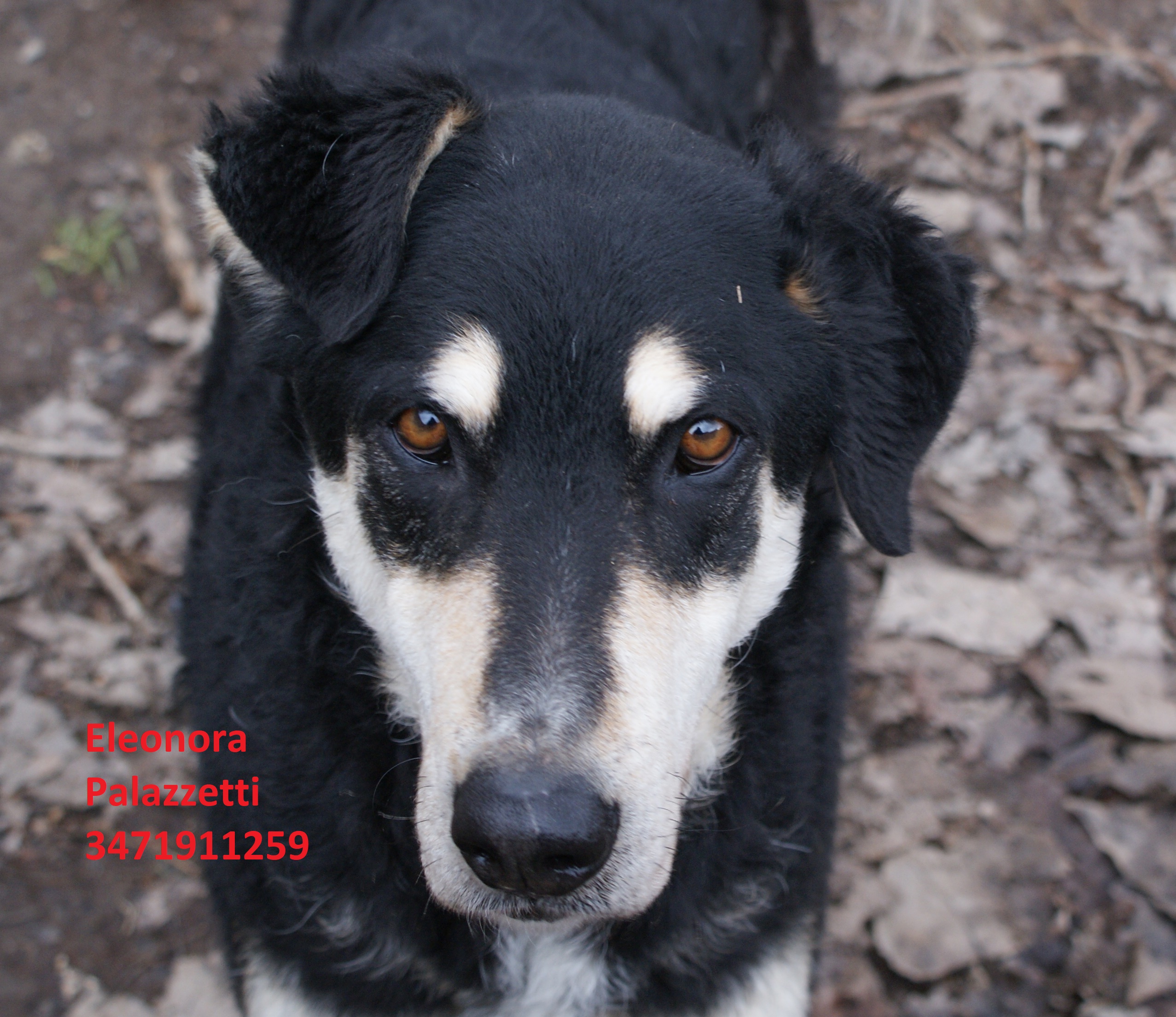 Hera 31.1.2019 n. 10