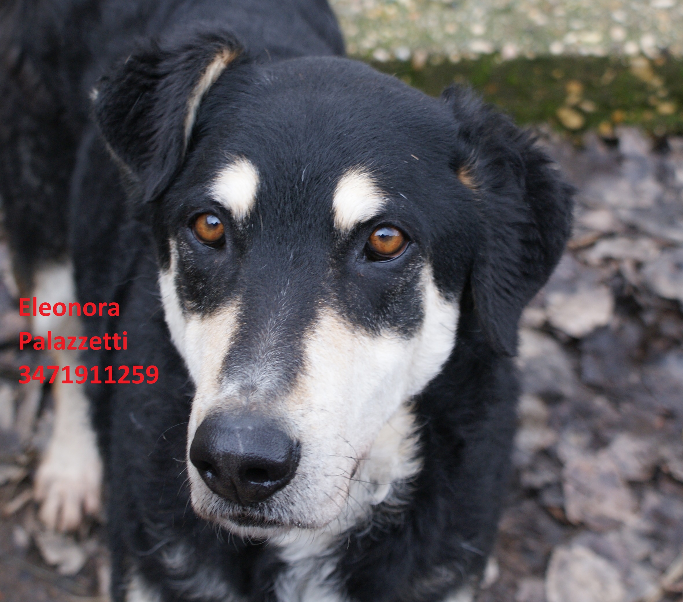 Hera 31.1.2019 n. 5