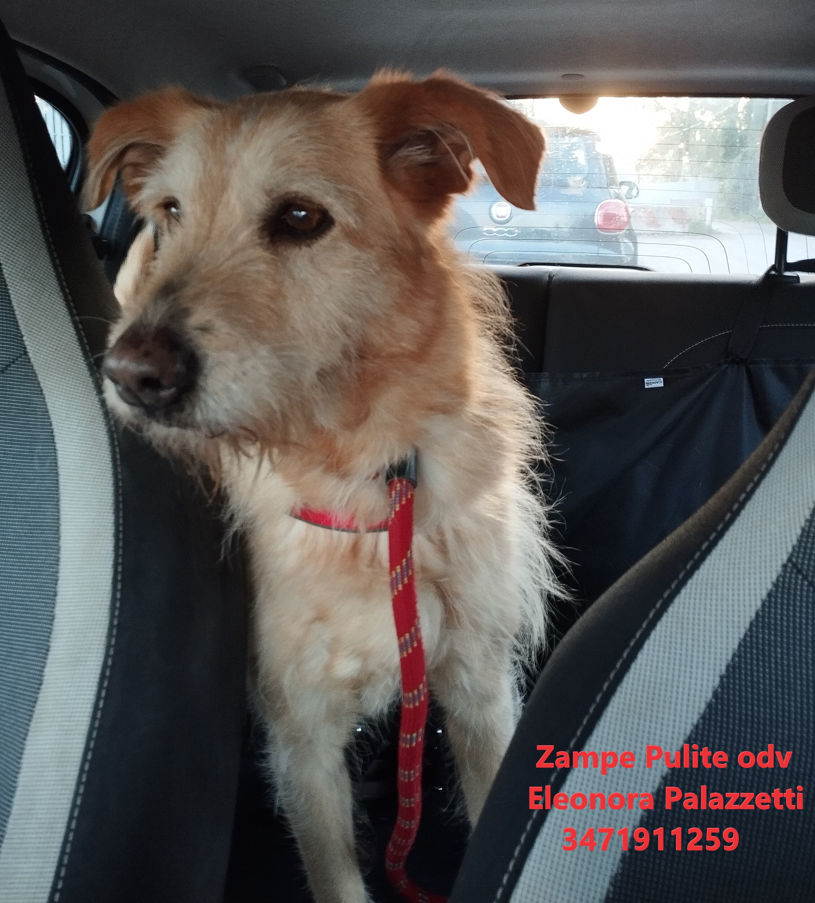 Lilo 31.01.2024 n. 2