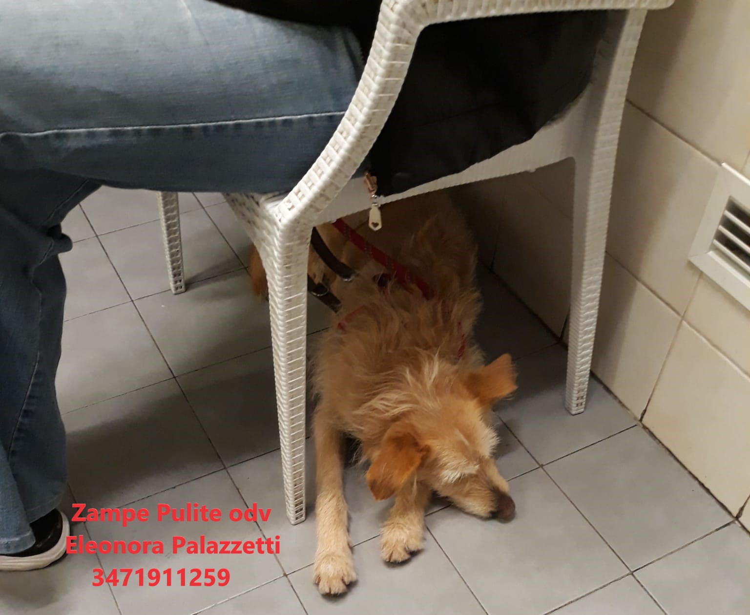 Lilo 31.01.2024 n. 7