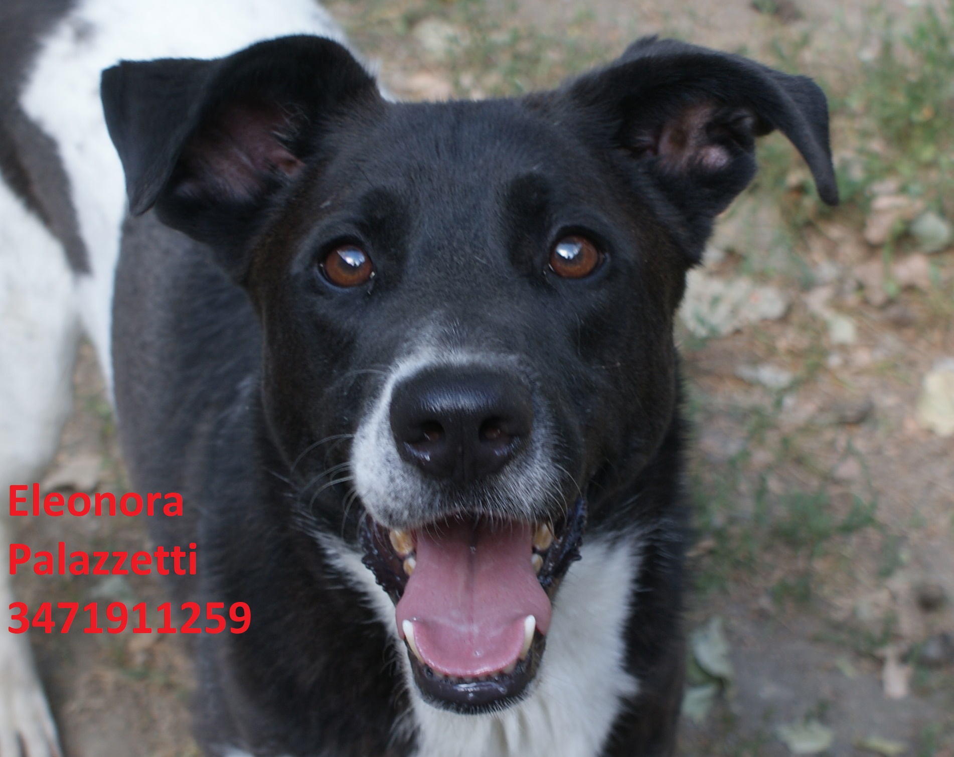 LuckY bn 17.7.2020 n. 6