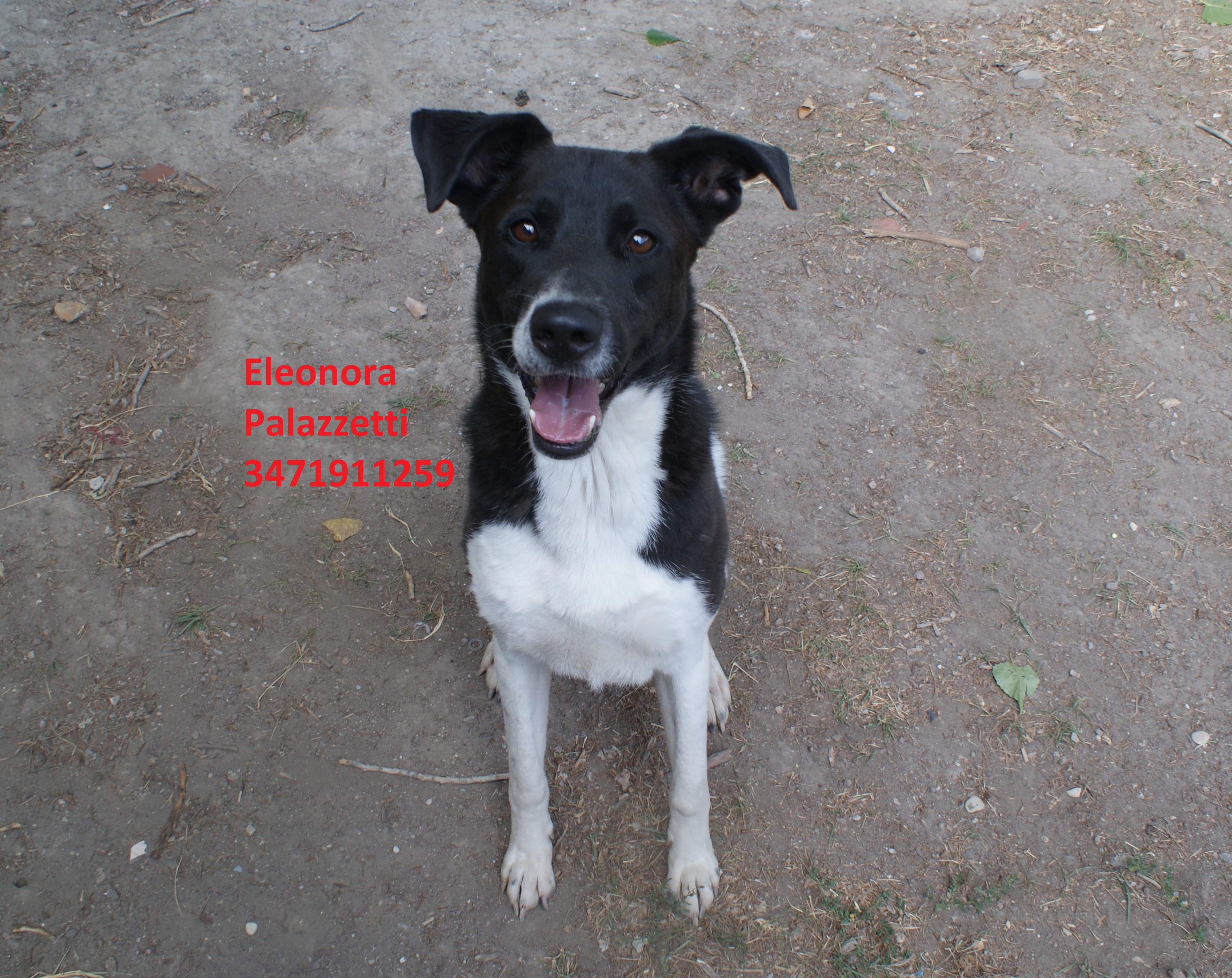 Lucky bn 17.7.2020 n. 1