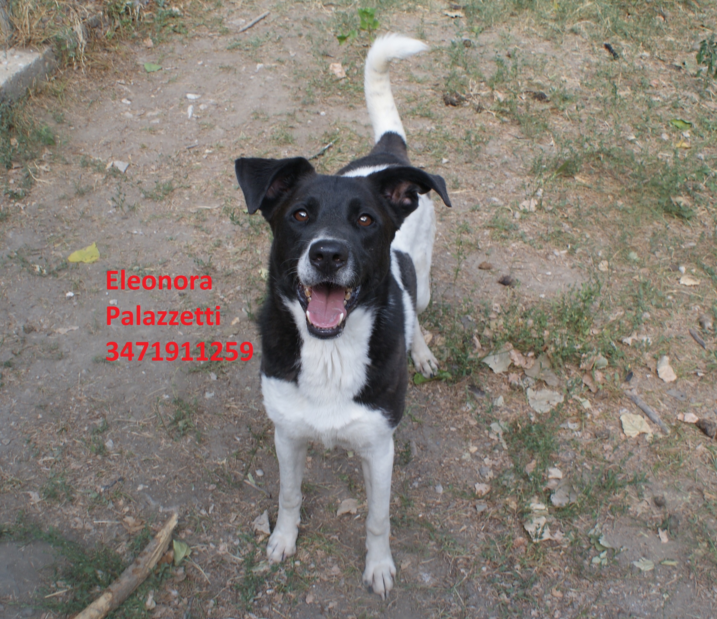 Lucky bn 17.7.2020 n. 3