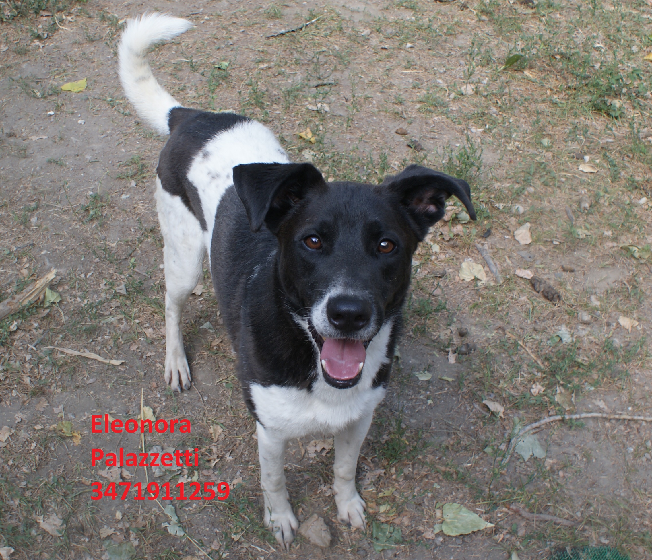 Lucky bn 17.7.2020 n. 4