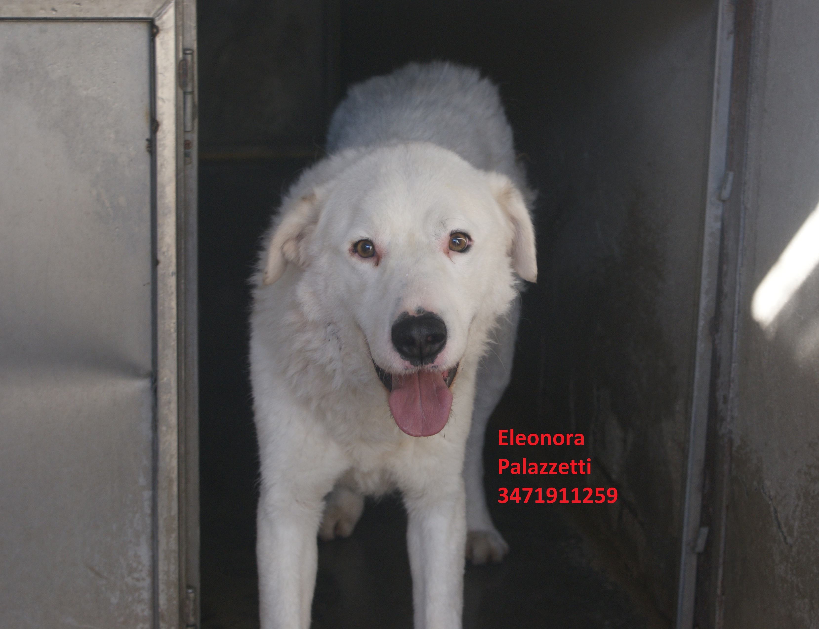 Macchia 30.1.2020 n. 1
