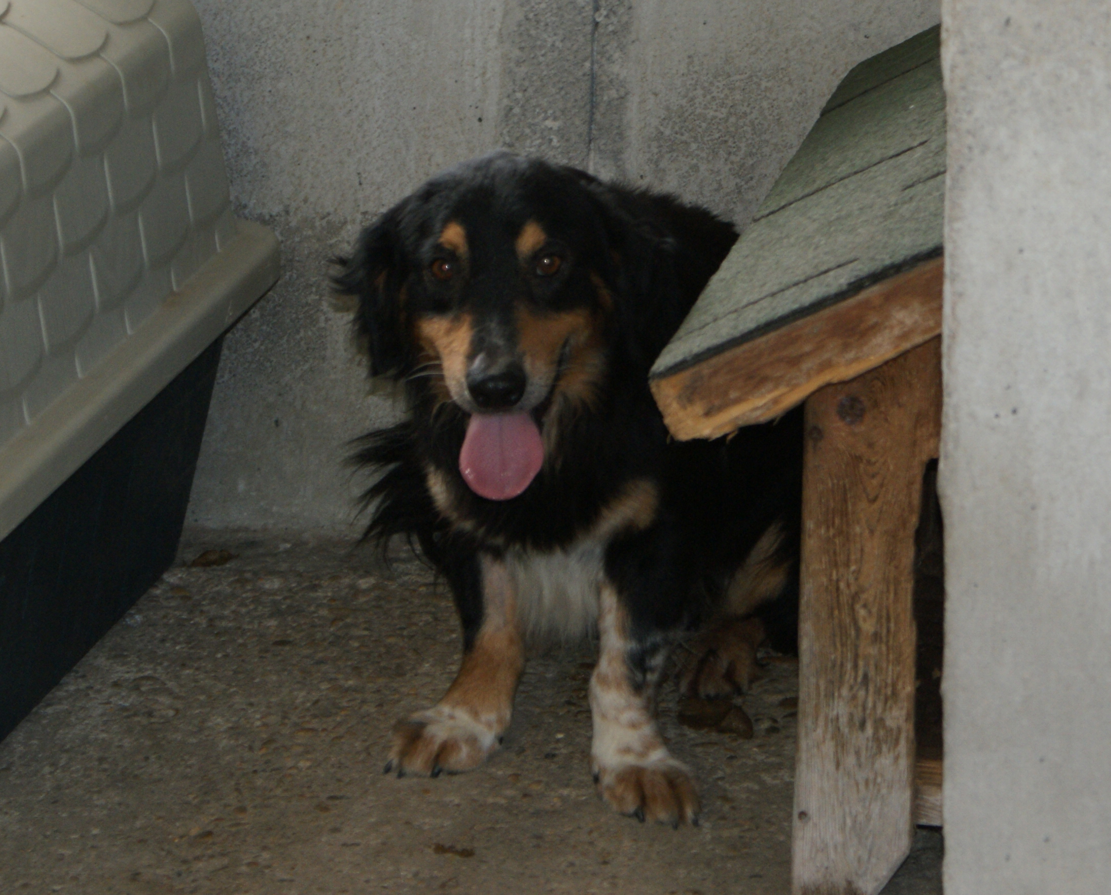 Milo 5.7.2019 n. 1