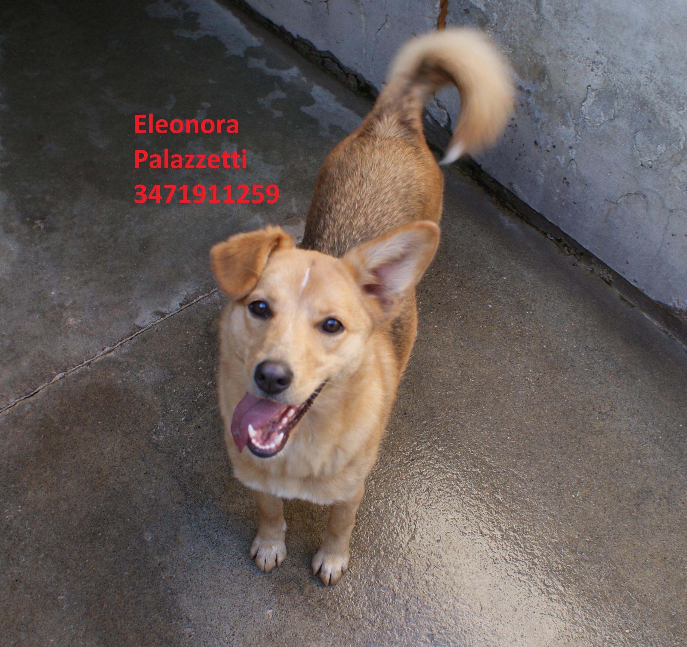 Stella 22.1.2020 n. 3