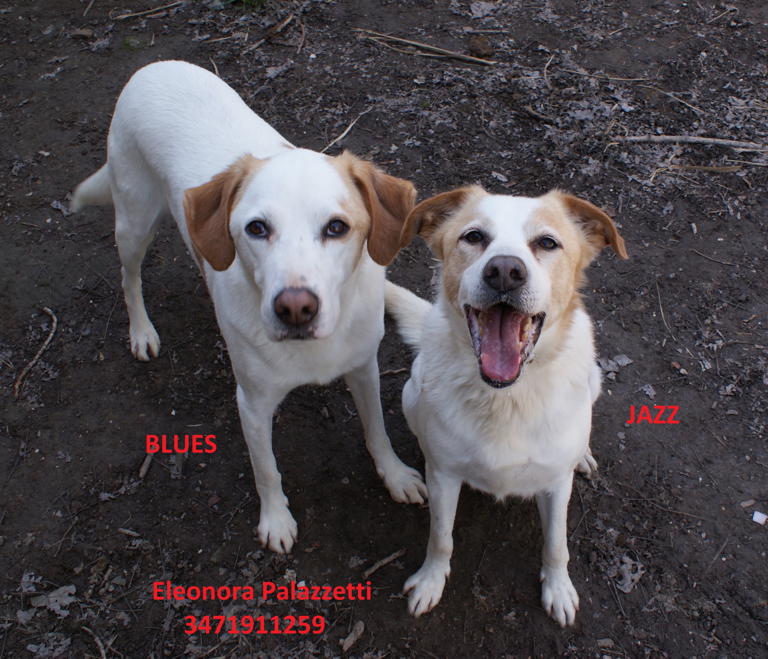 BluesJazz 4.3.2020 n. 3