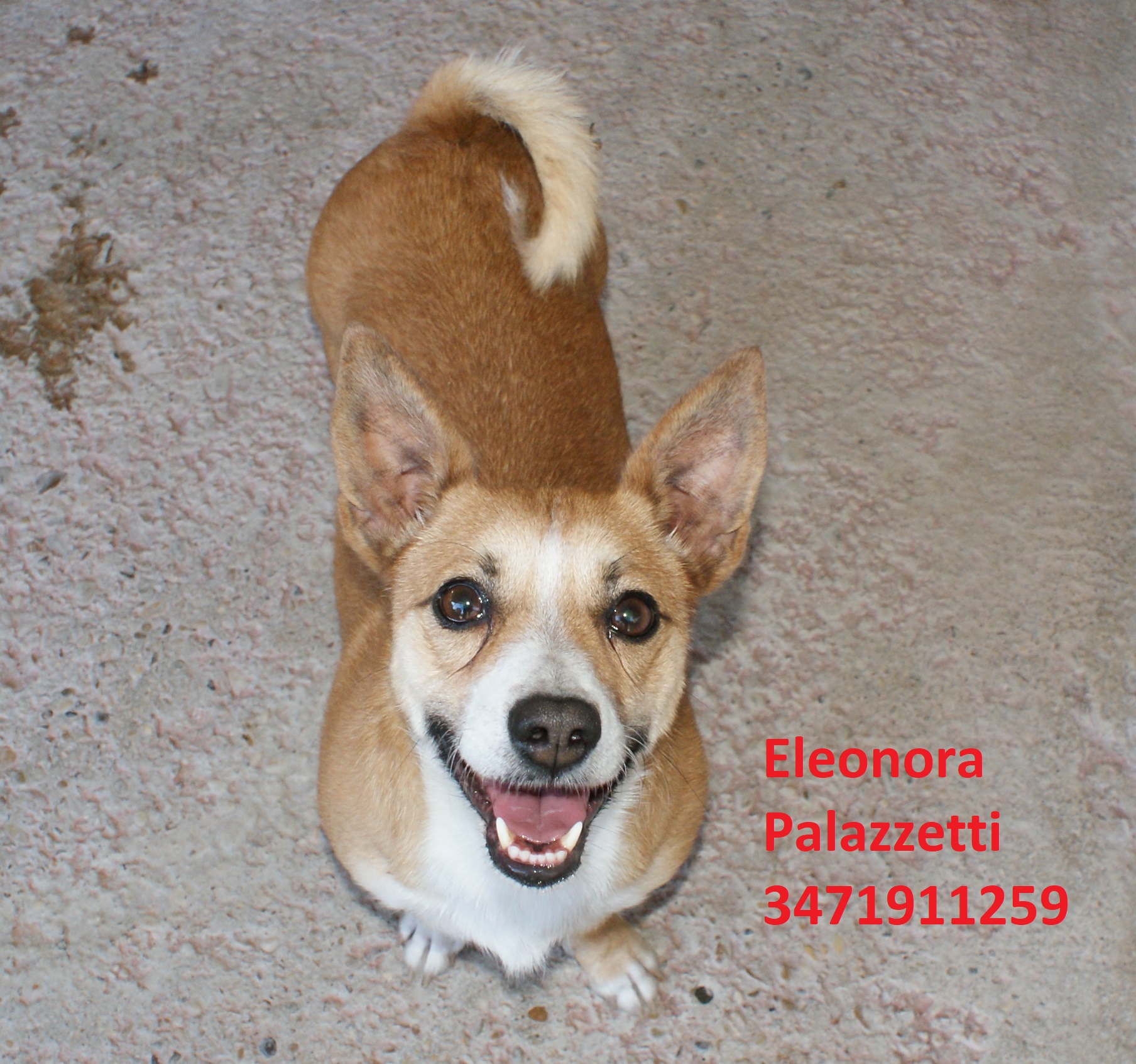 Chicco 21.10.2020 n. 7