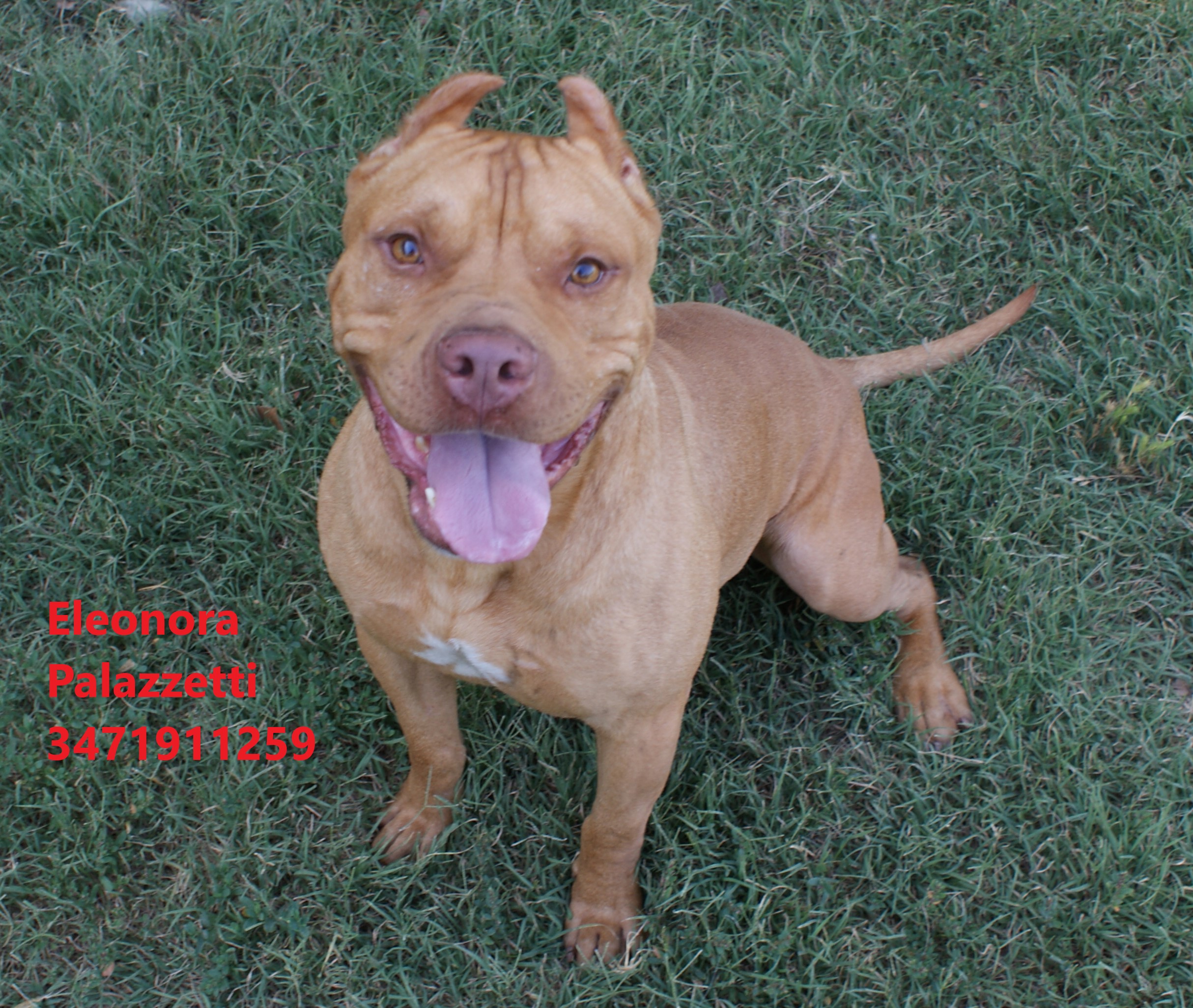 Sonny Junior 9.7.2021 n. 1