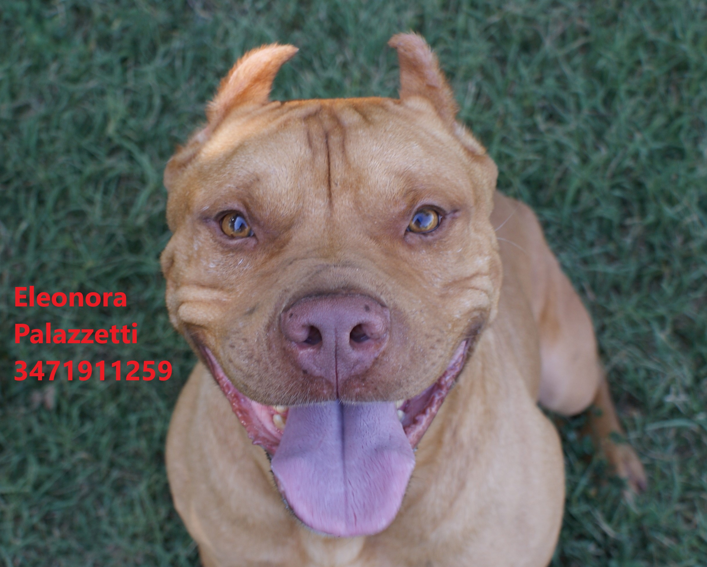 Sonny Junior 9.7.2021 n. 12