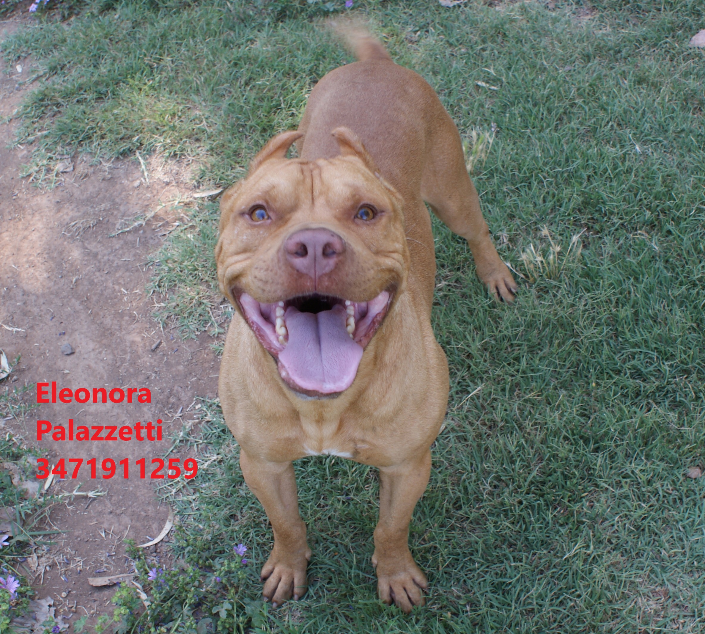 Sonny Junior 9.7.2021 n. 3