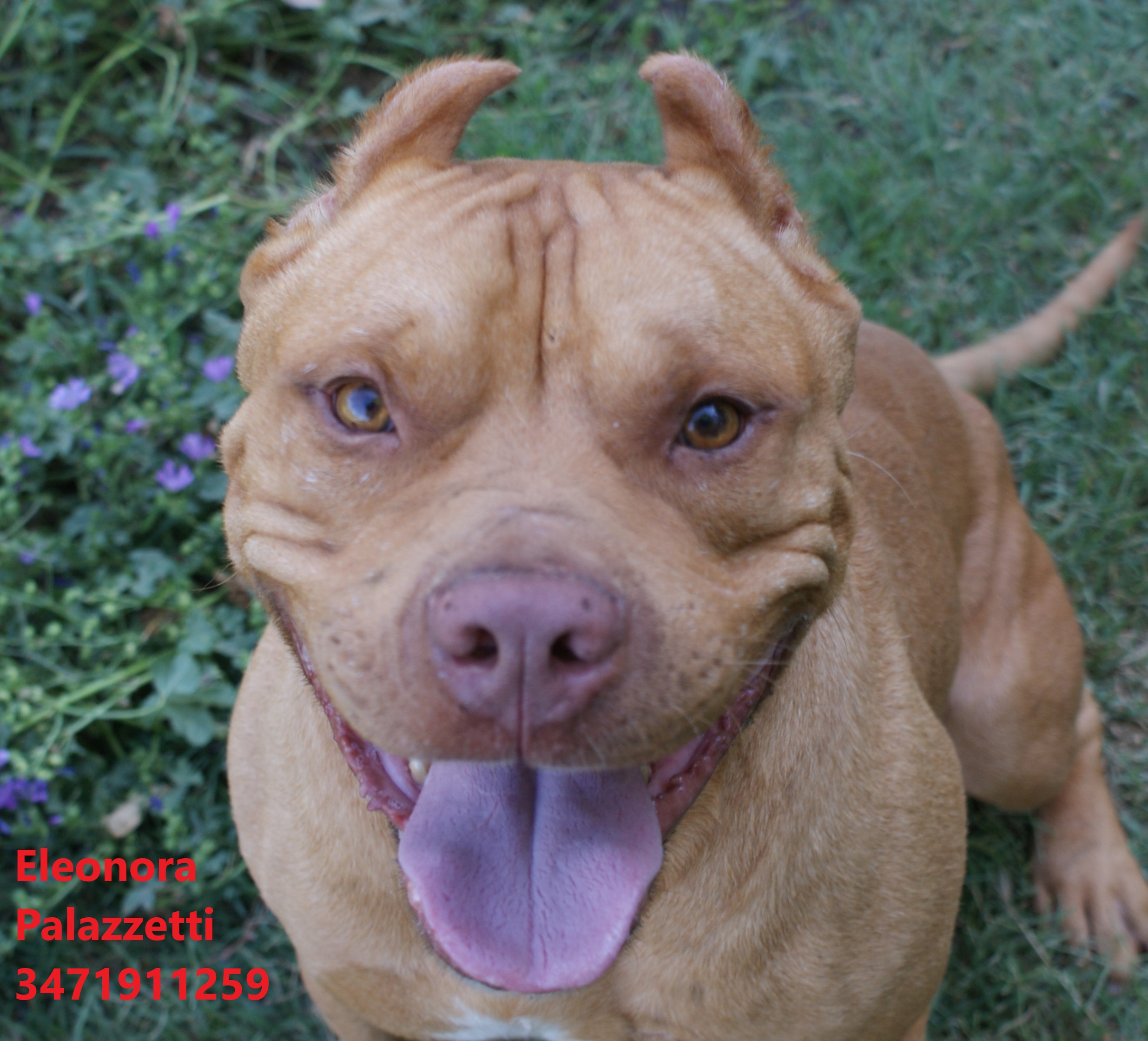 Sonny Junior 9.7.2021 n. 4