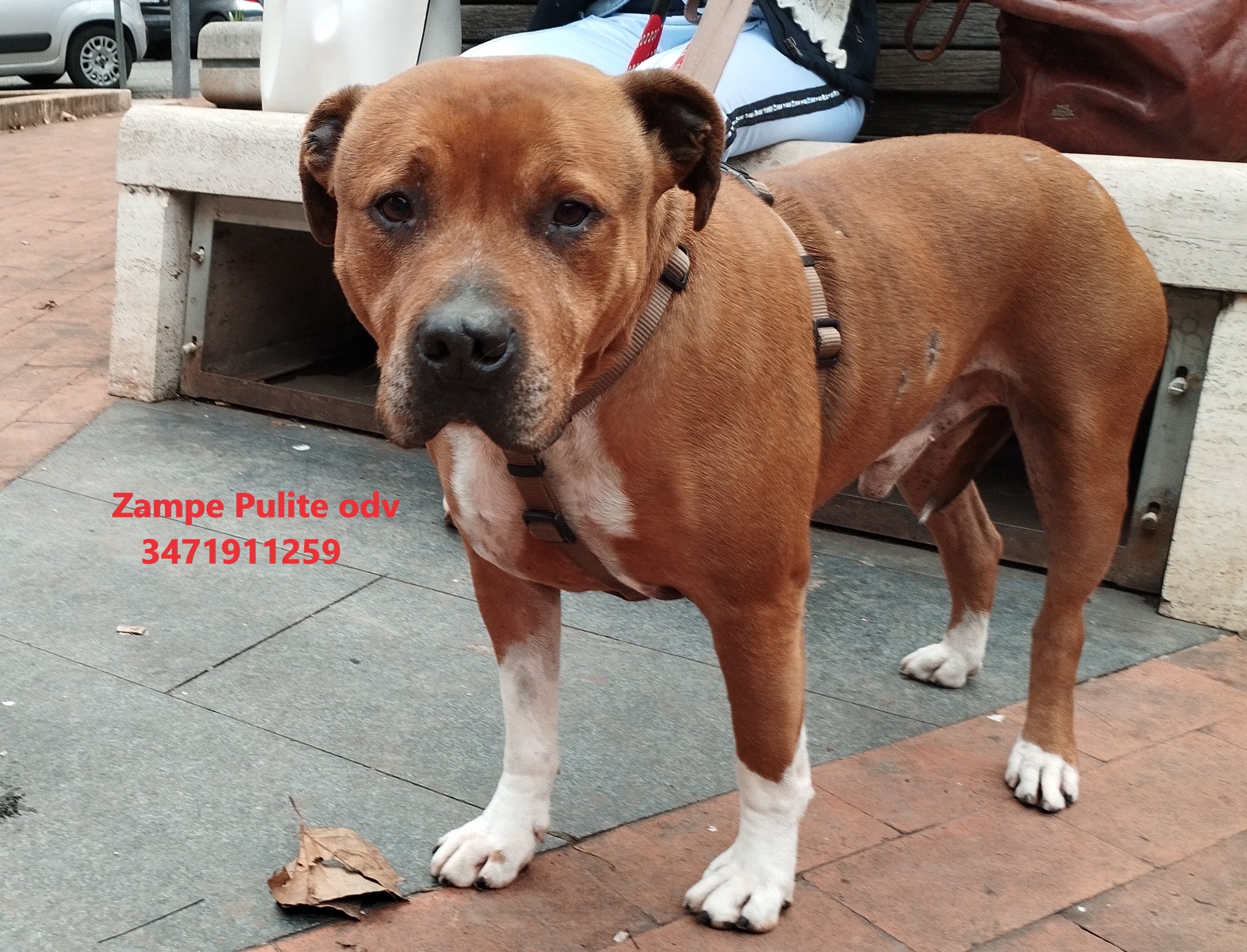 Bacco 18.01.2024 n. 3