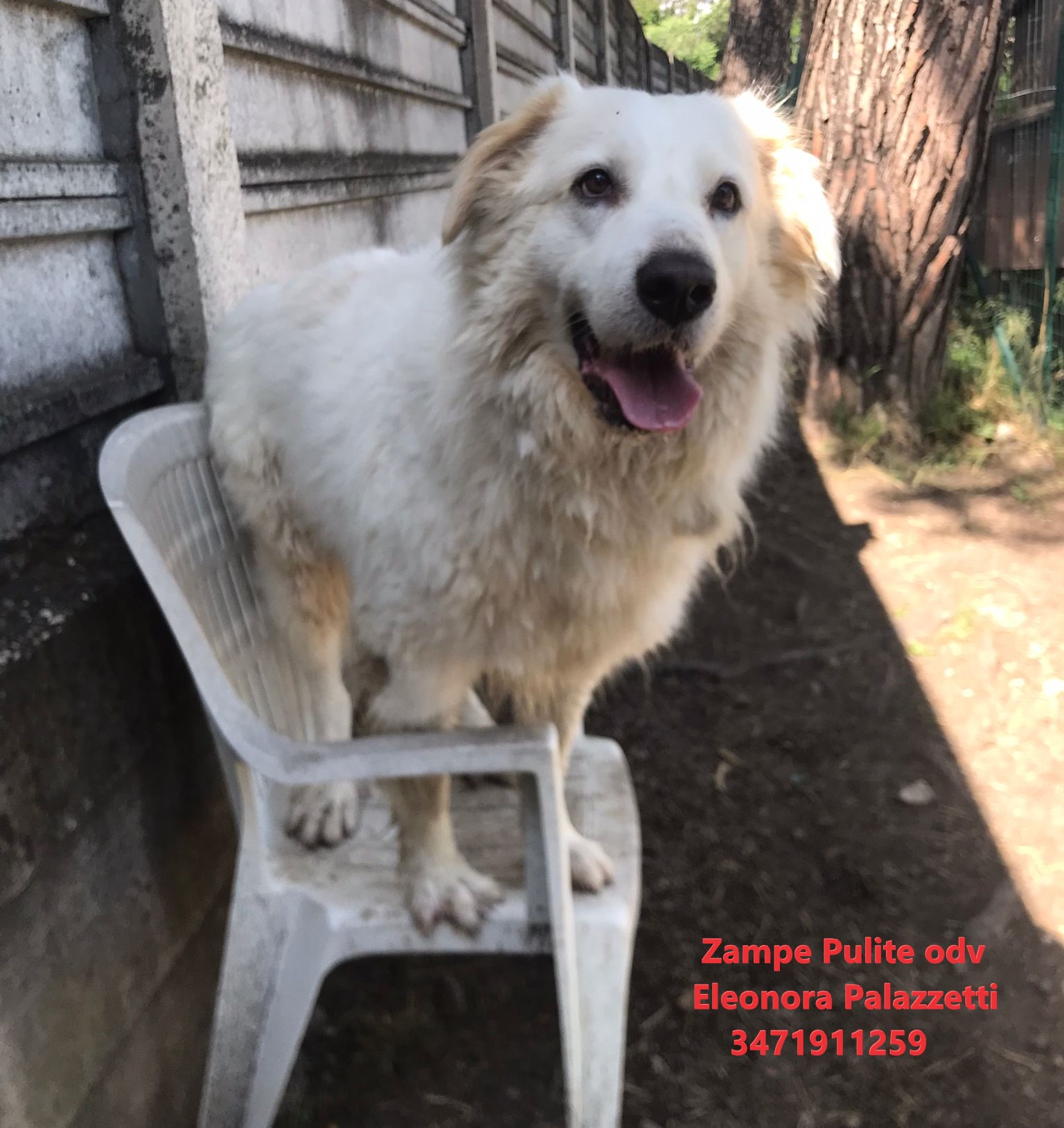 Baloo 7.6.2023