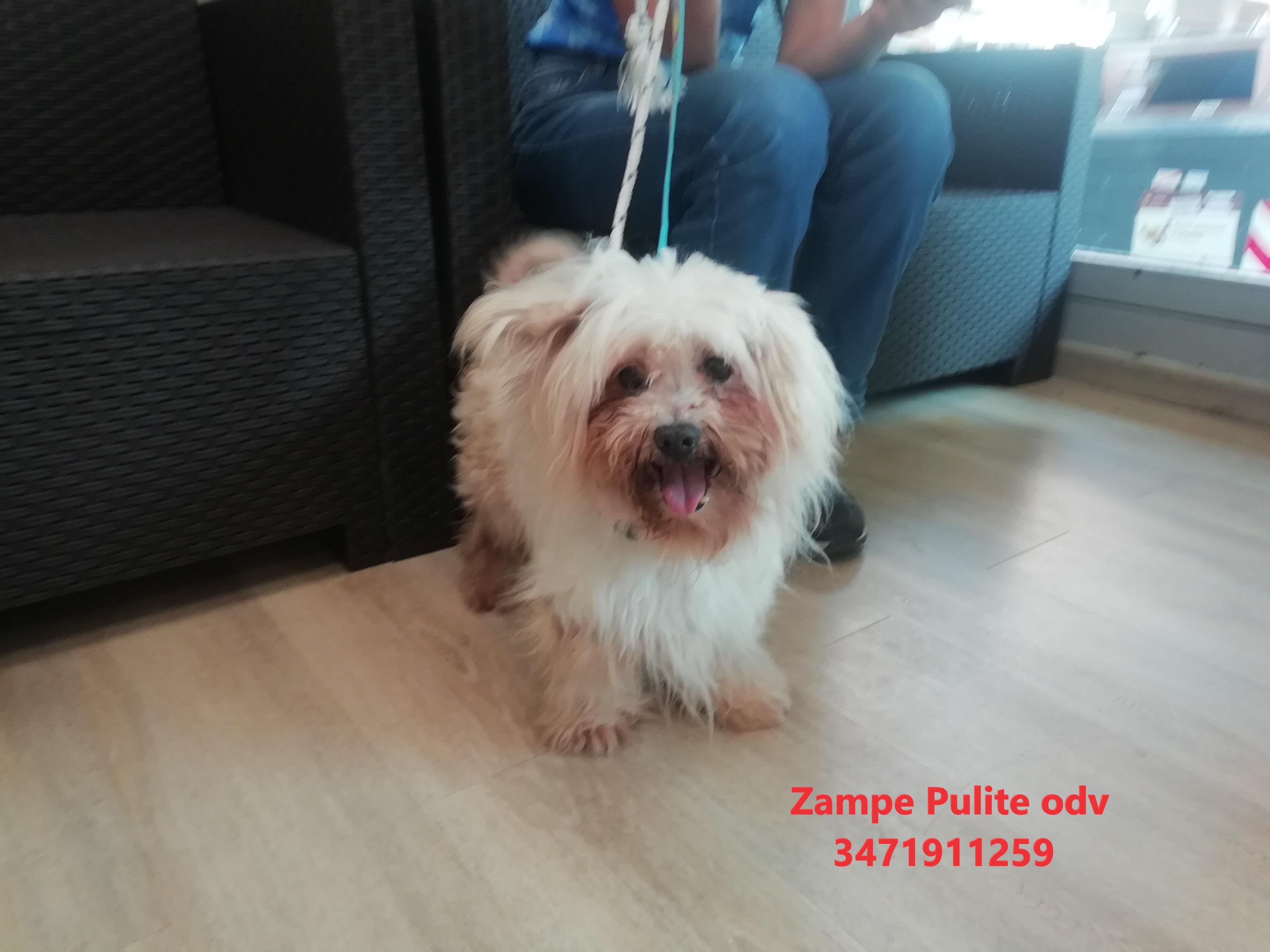 Birillo 28.06.2023 n. 2