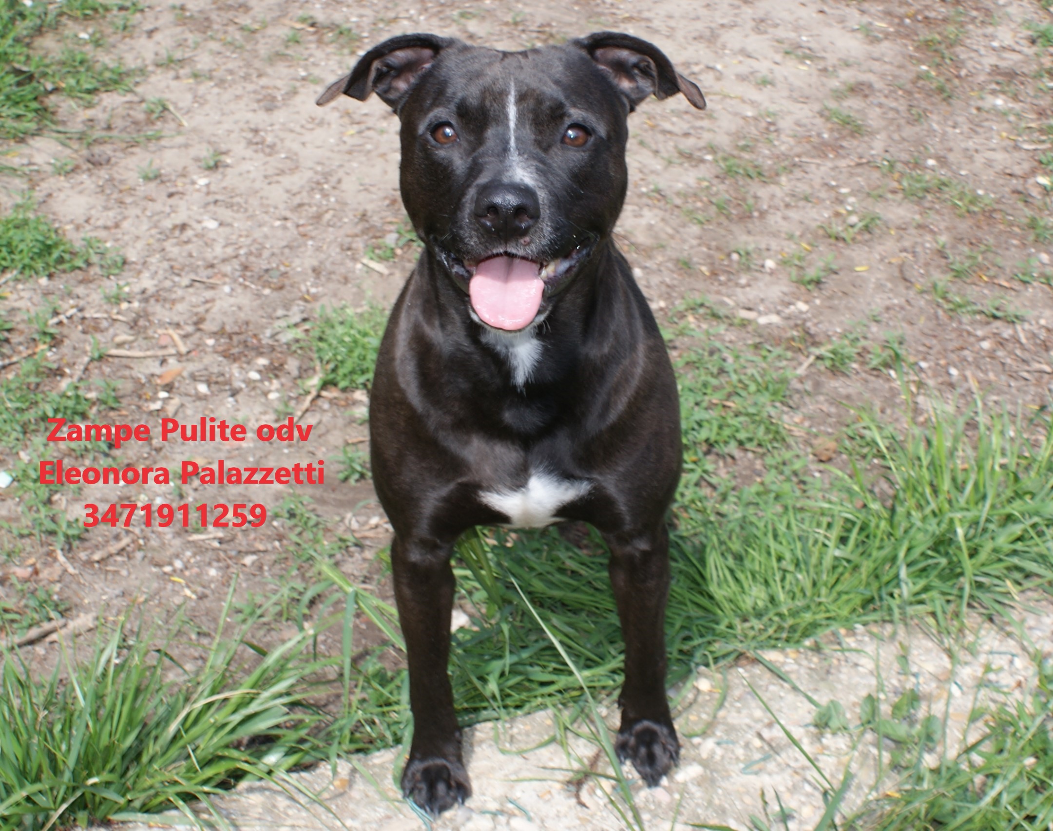 Bulletto 21.04.2023 n. 2