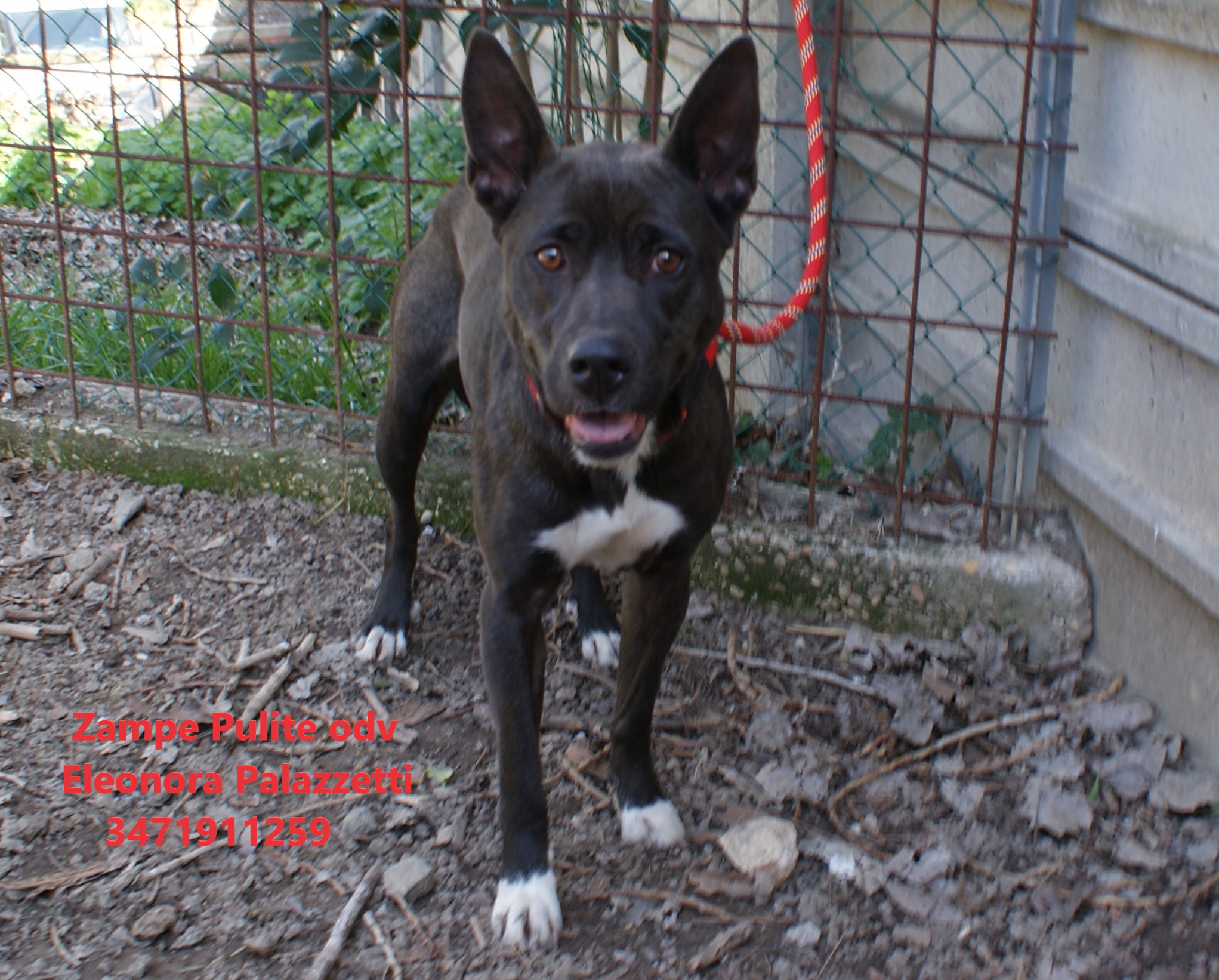 Ludmilla 17.03.2023 n. 4