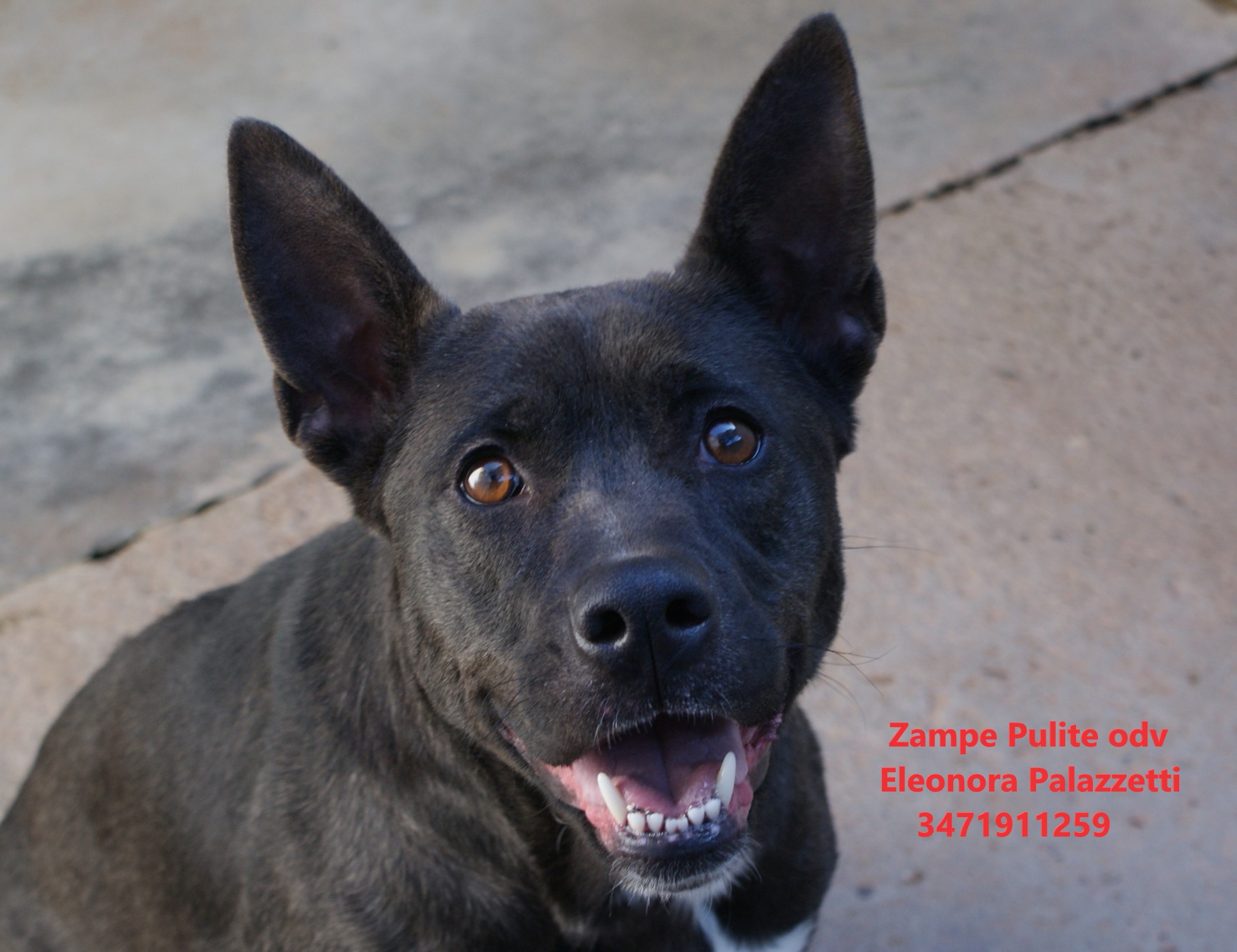 Ludmilla 17.03.2023 n. 9