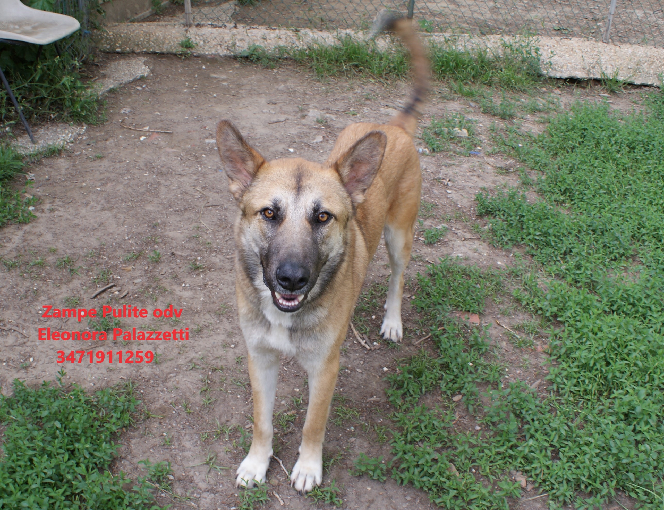Malik 9.05.2023 n. 4