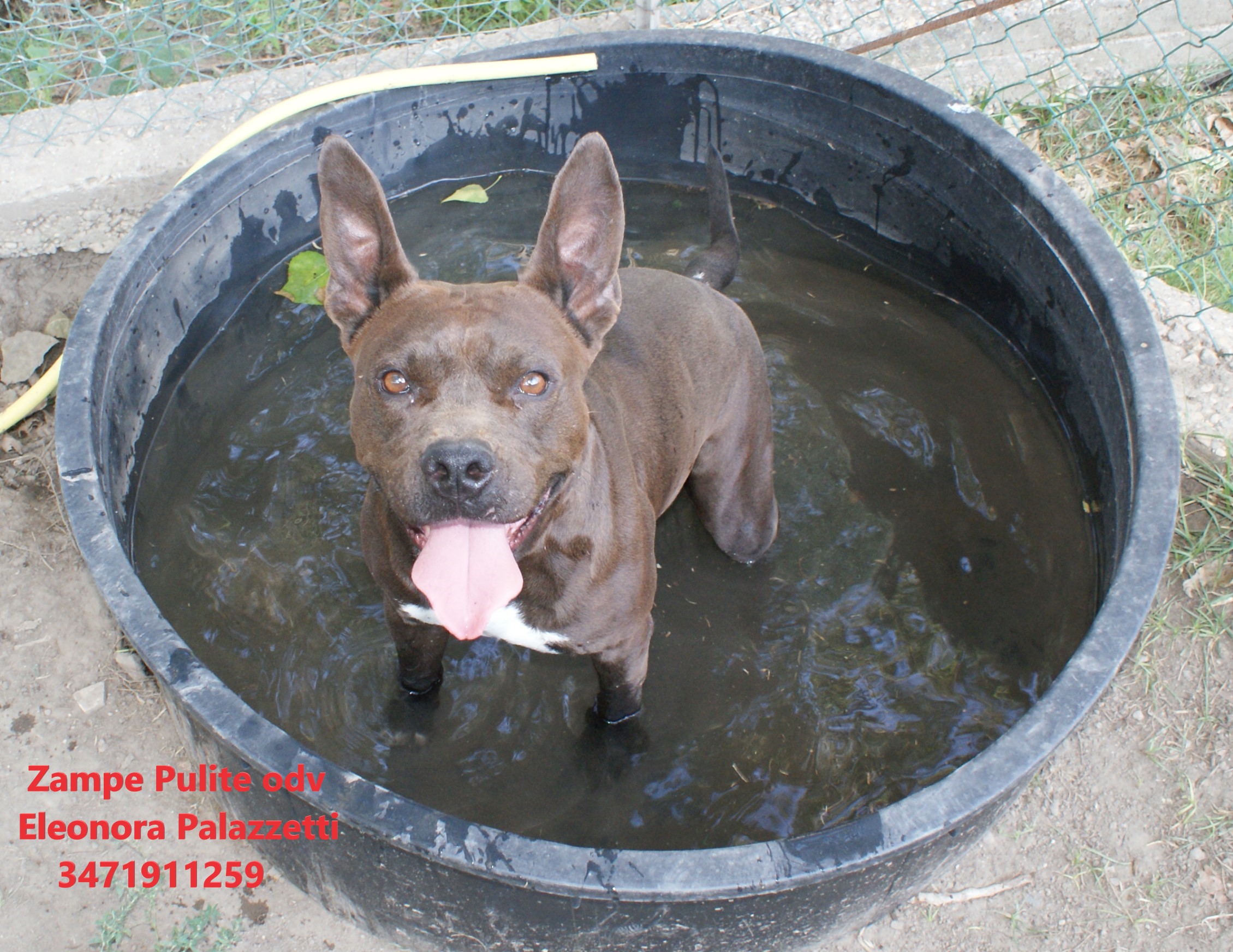Margot pit 23.07.2021 n. 10
