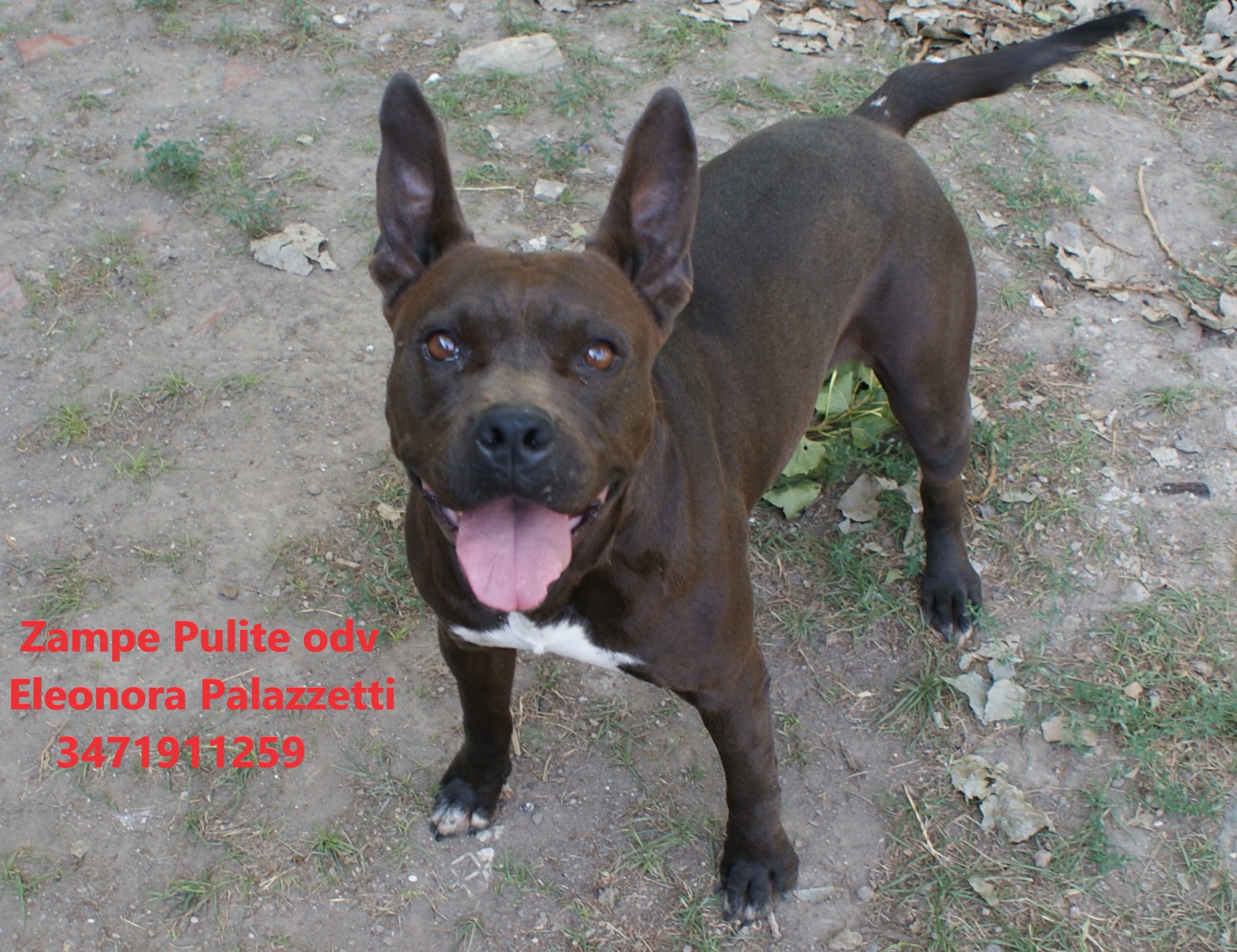 Margot pit 23.07.2021 n. 9