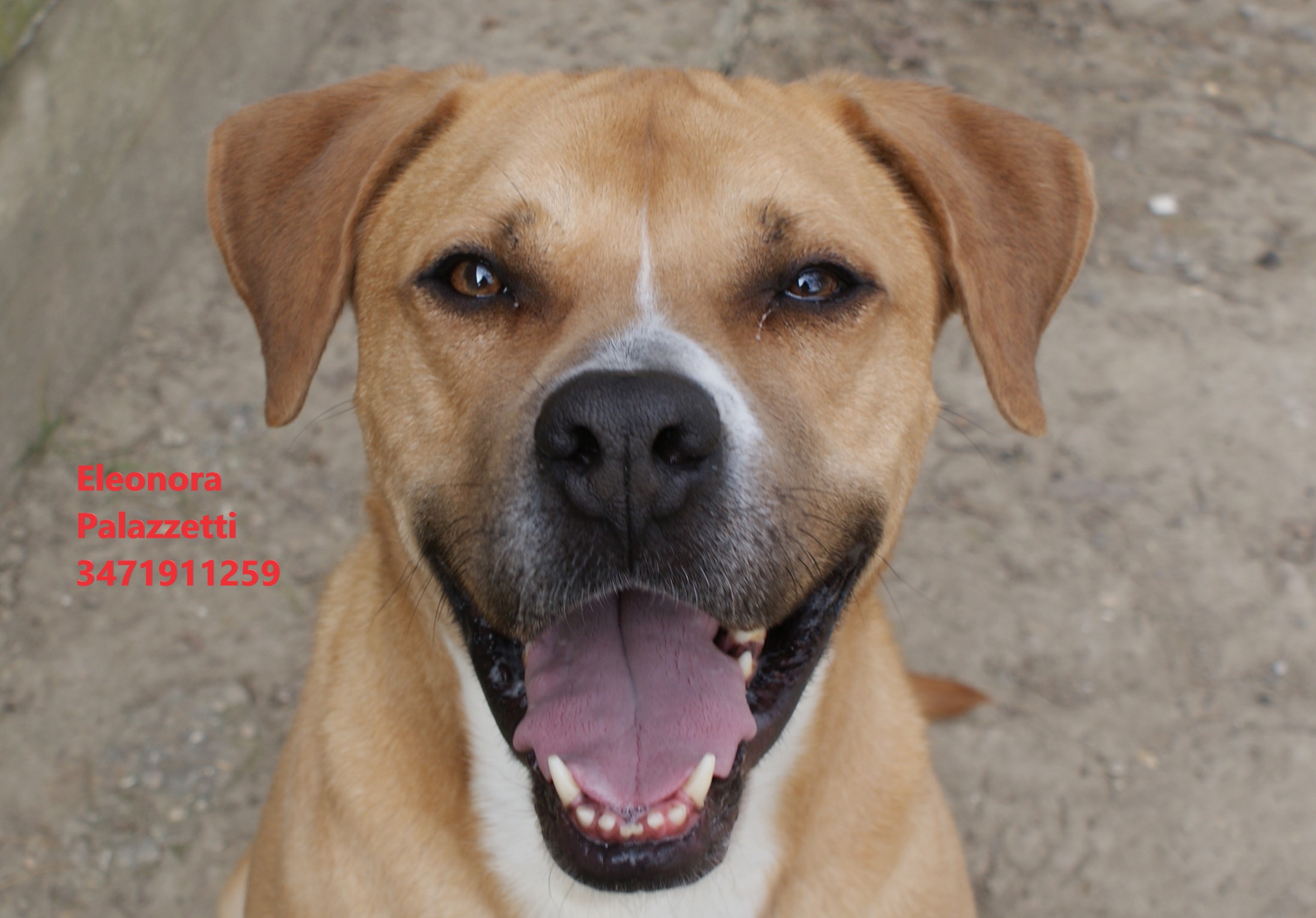 Pablo 17.02.2023 n. 12