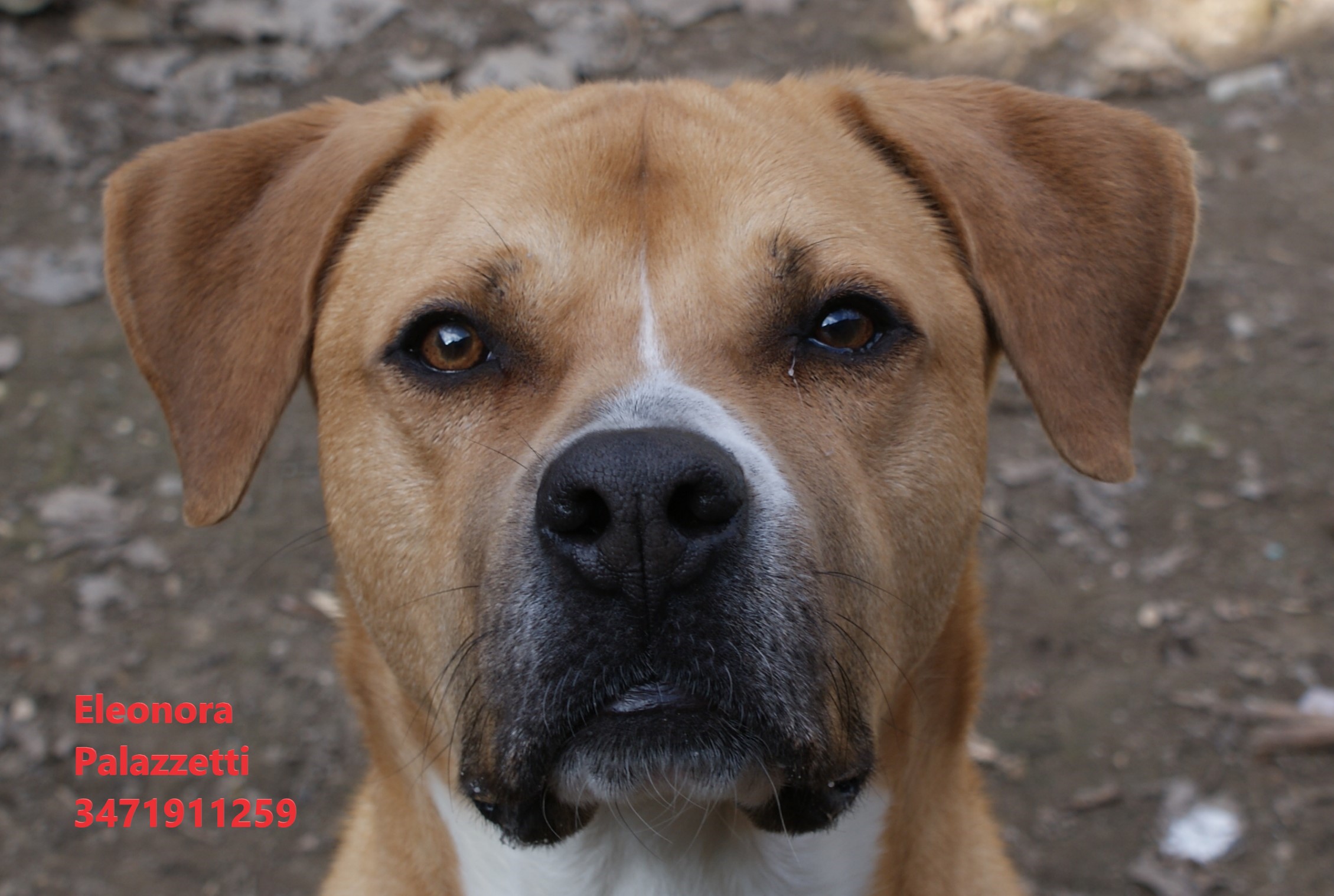 Pablo 17.02.2023 n. 2