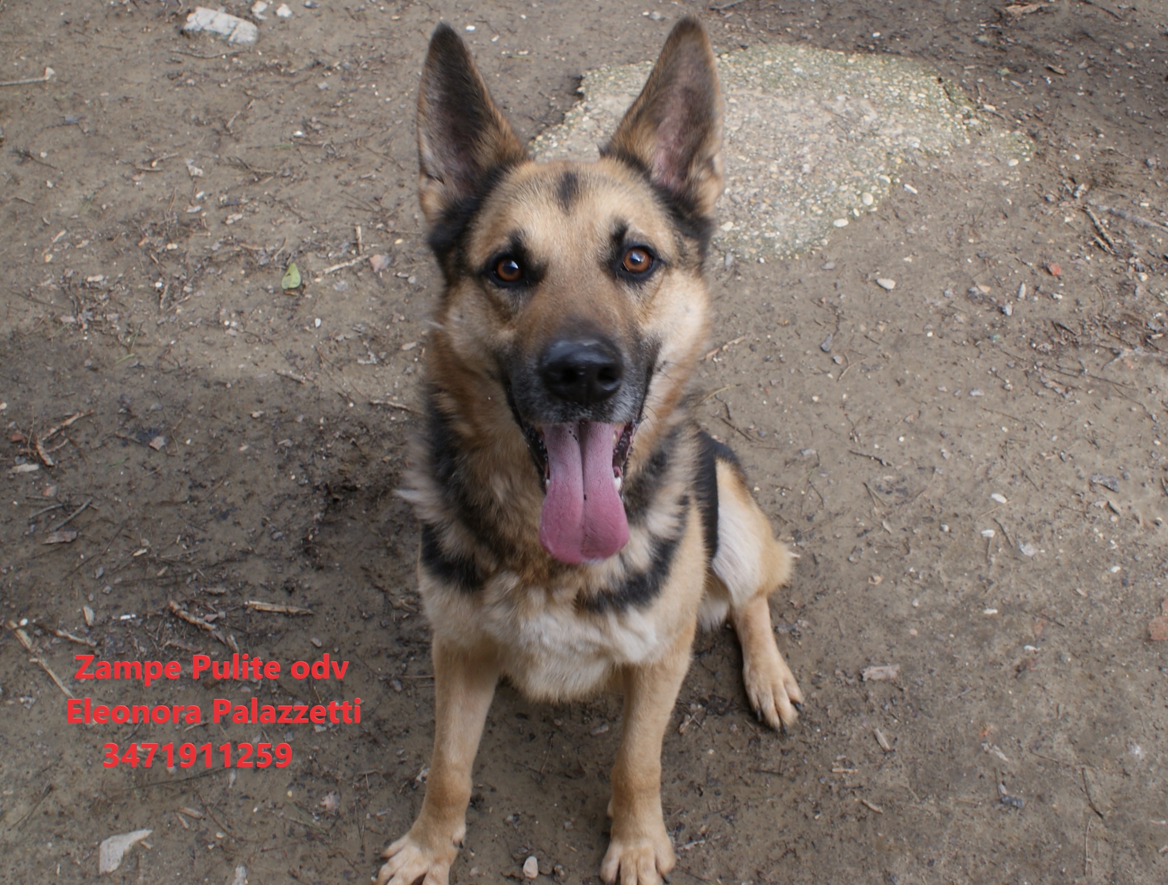 Rocky 27.02.2023 n. 10