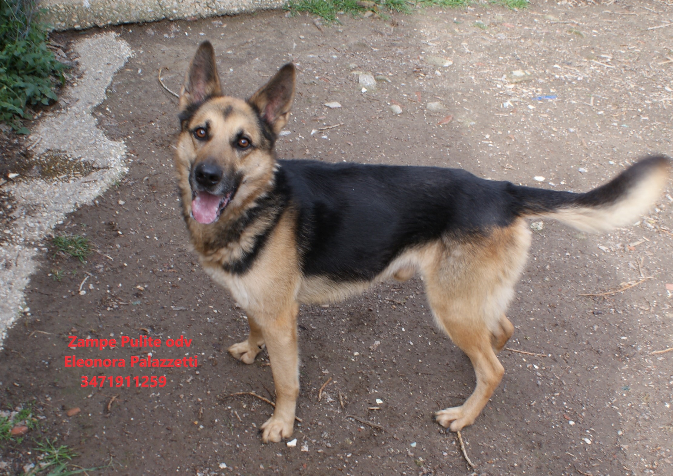 Rocky 27.02.2023 n. 5