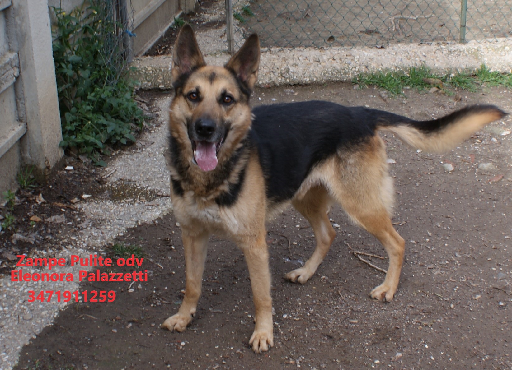 Rocky 27.02.2023 n. 6