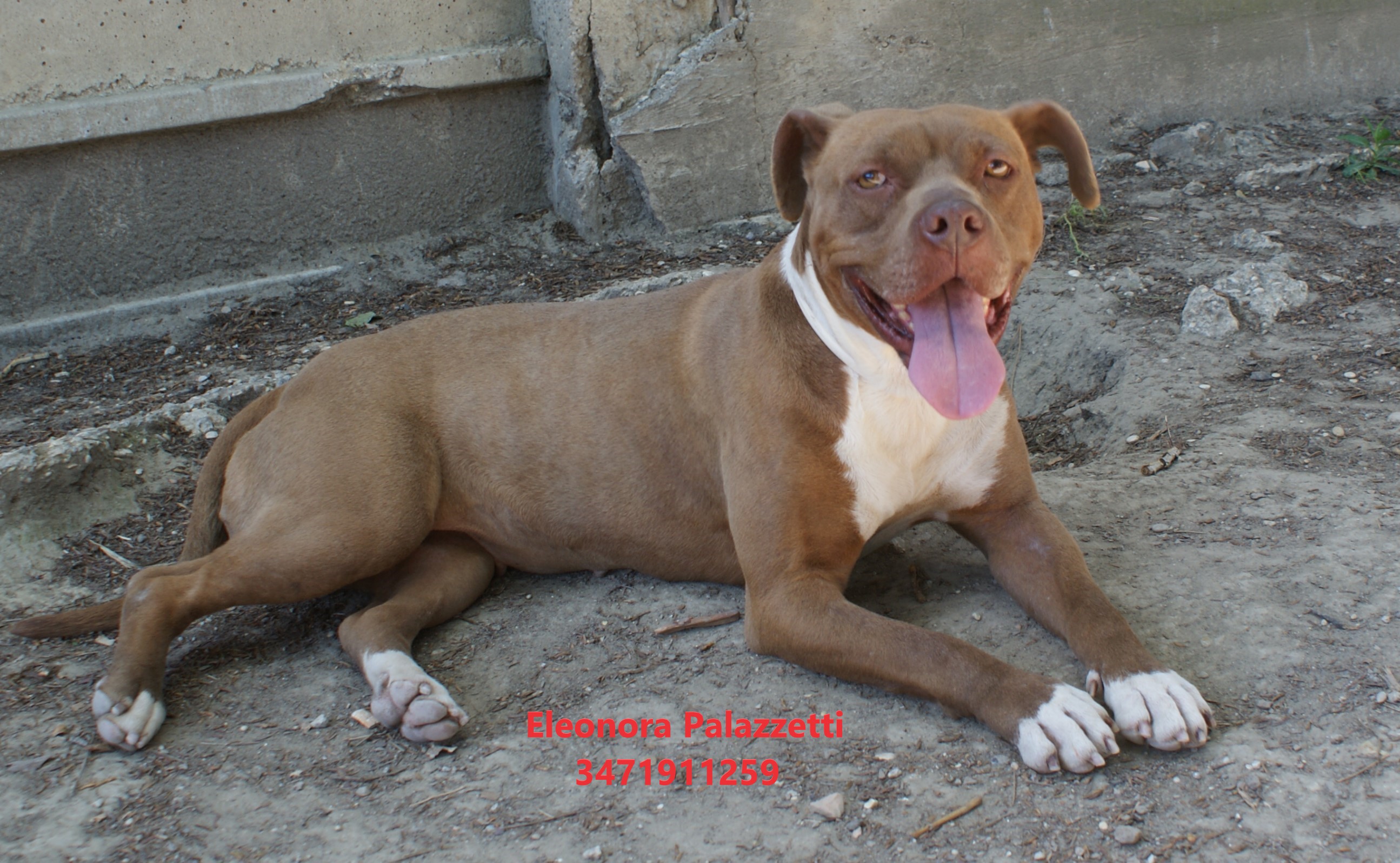 Ariel 13.5.2022 n. 3