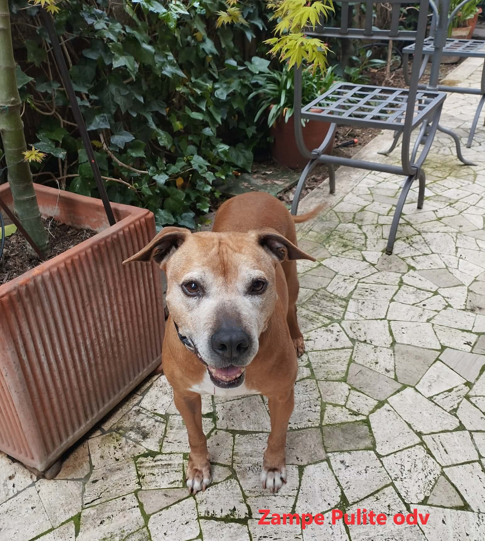 Bulla 01.03.2026 n. 1