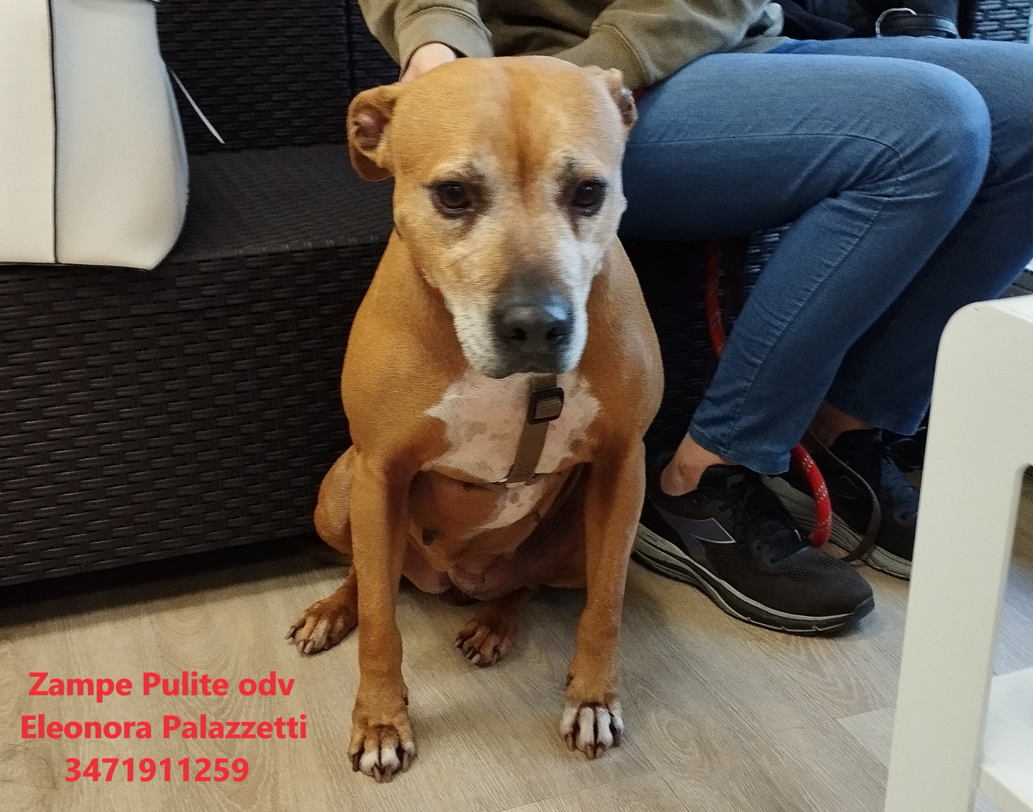 Bulla 14.12.2023 n. 5