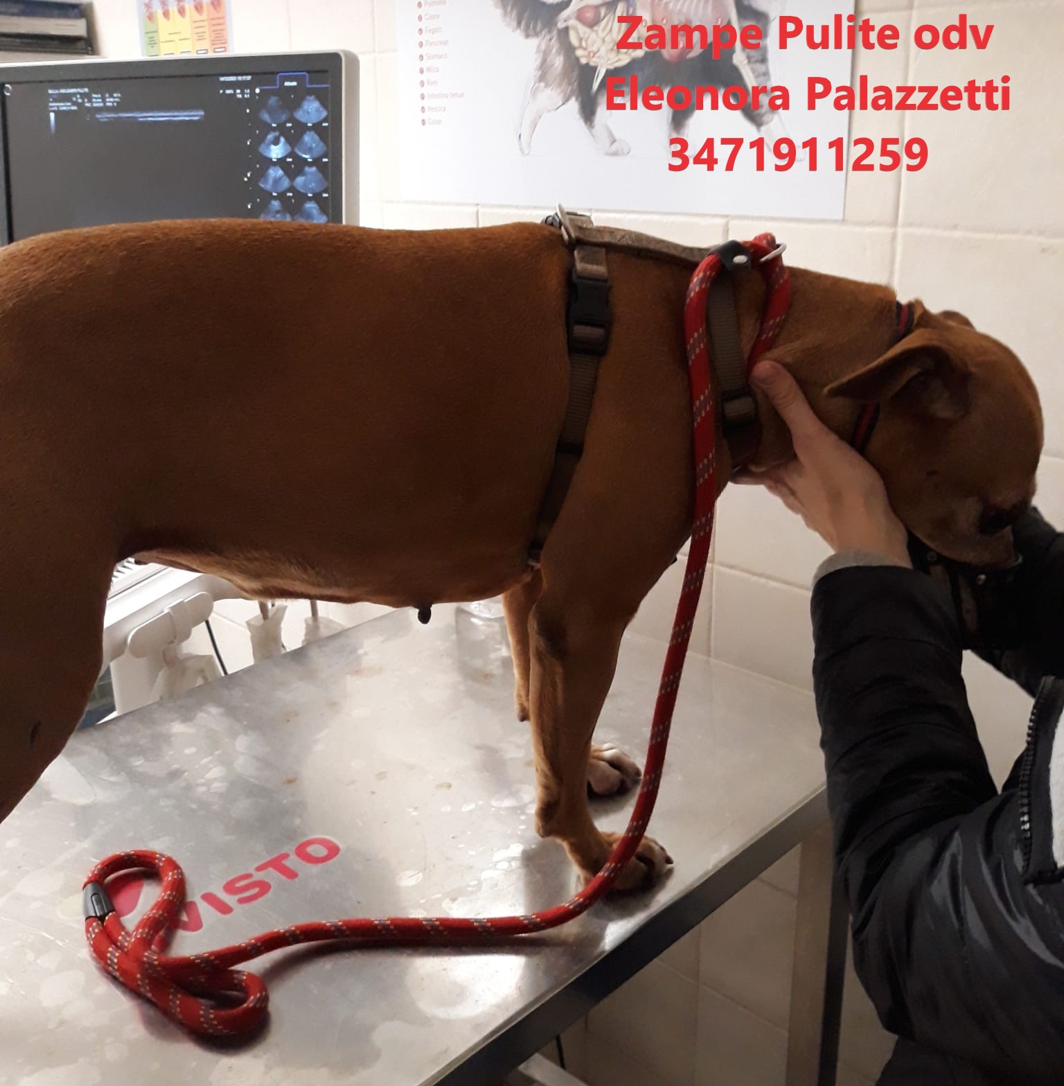 Bulla 14.12.2023 n. 7