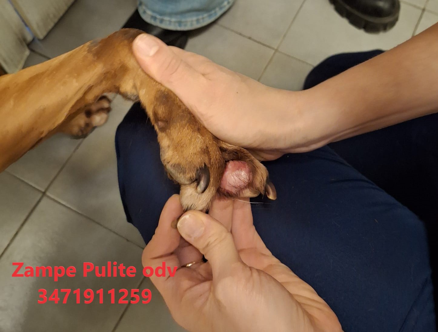 Bulla 27.02.2025 n. 2