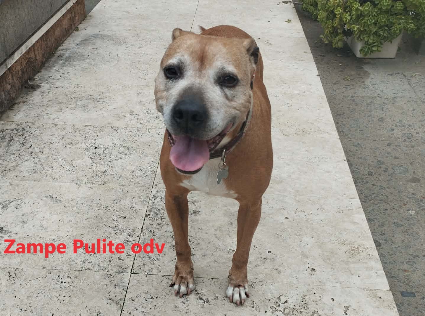 Bulla 27.02.2026 n. 2