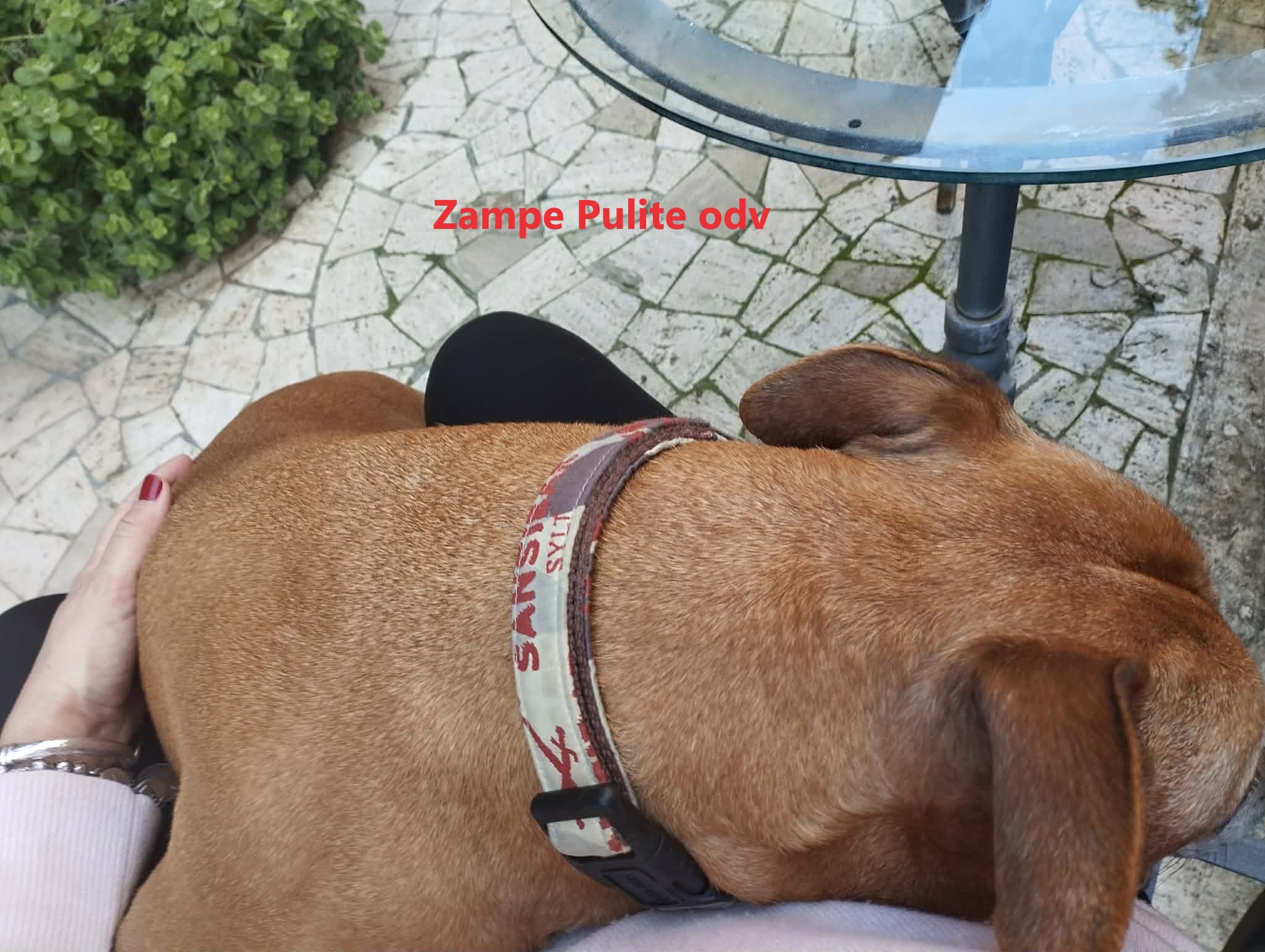Bulla 28.02.2026 n. 1