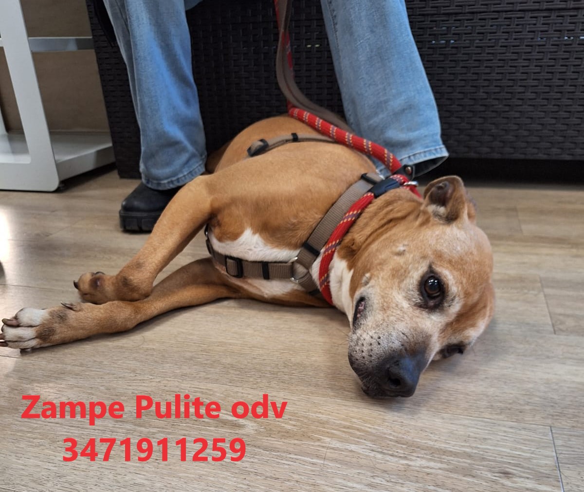 Bulla 6.05.2025 n. 2