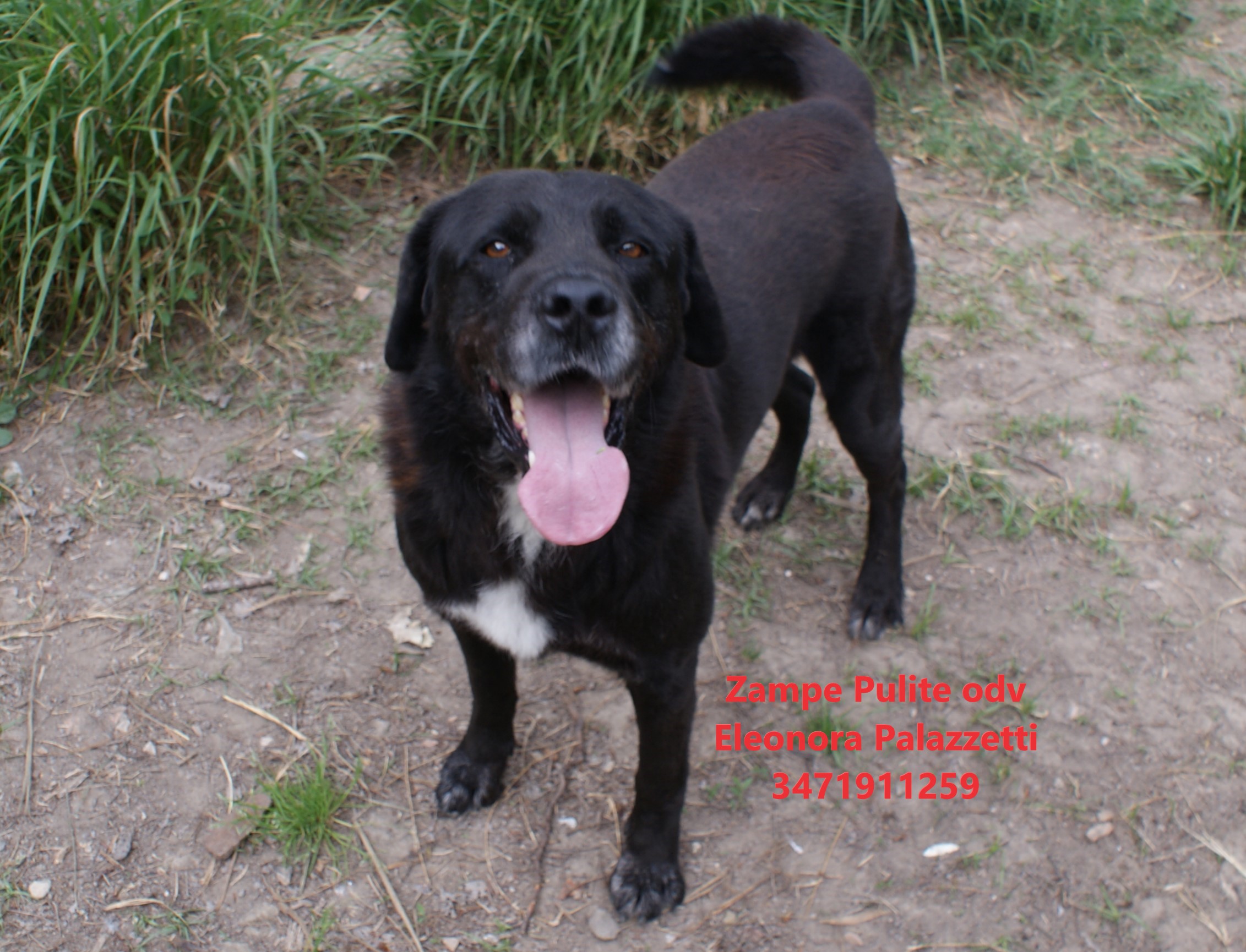 Max 14.04.2026 n. 4